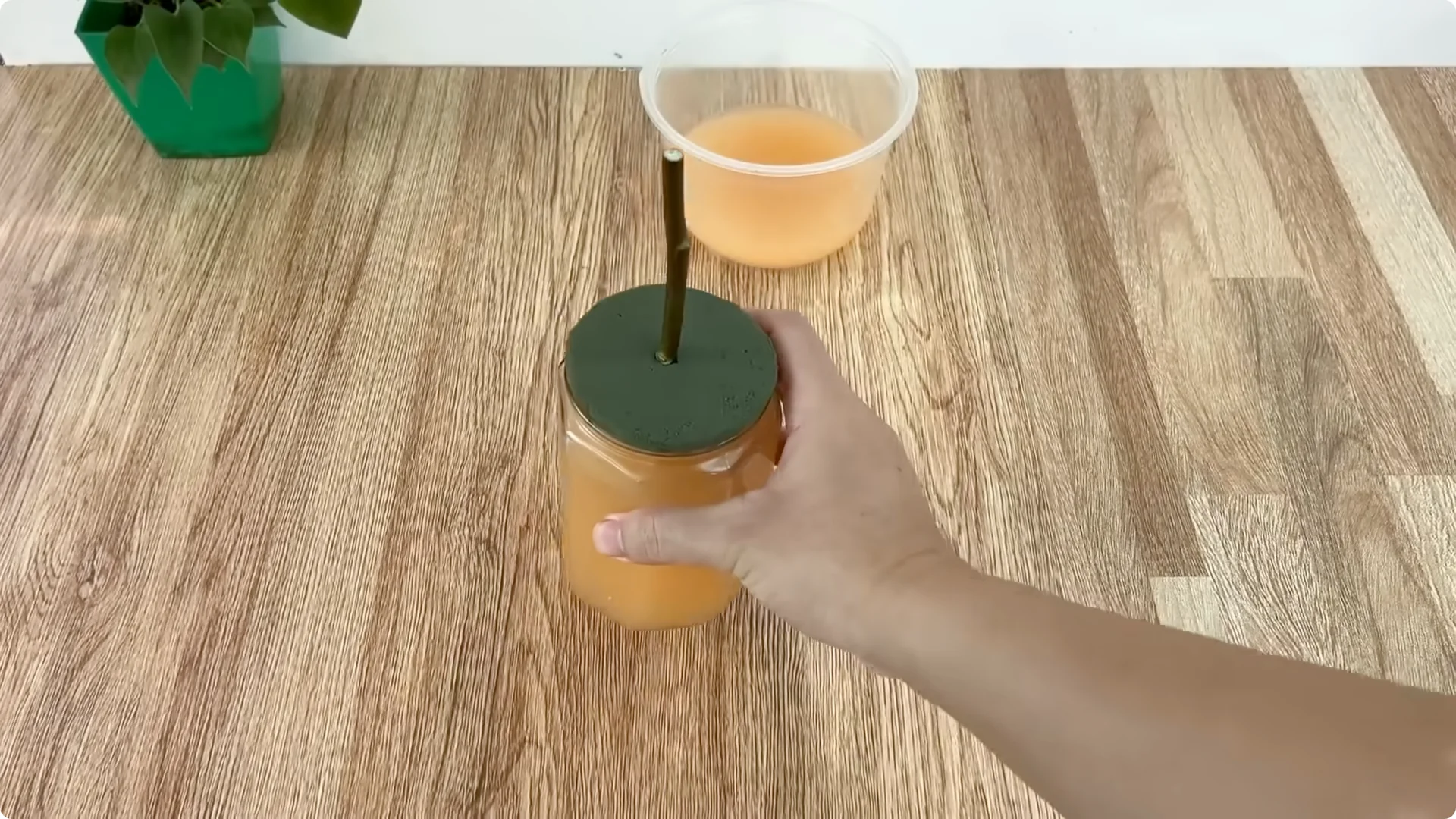 What Happens When You Insert a Rose Branch Into an Onion? screenshot 5