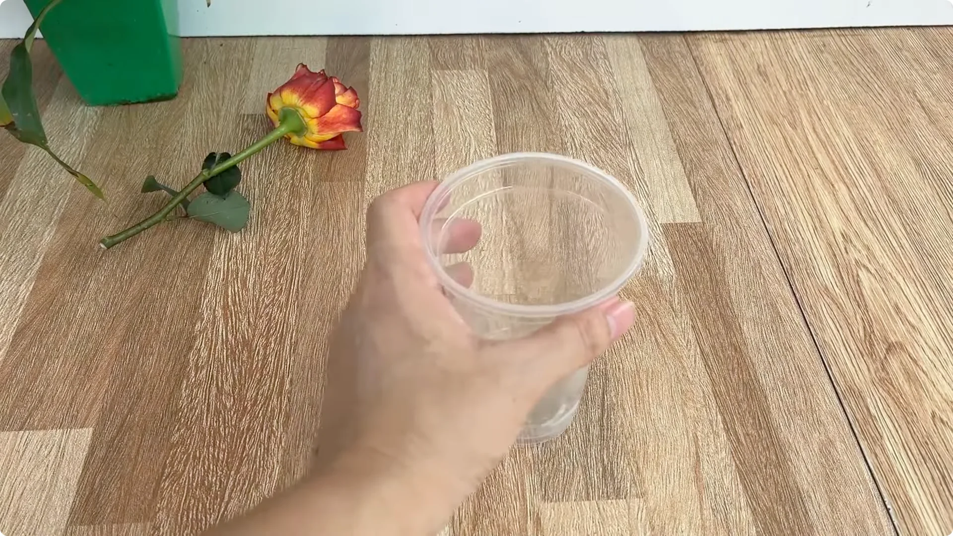 Why Sprinkling 1 Spoon Sparks Rose Branch Growth and Blooms screenshot 3