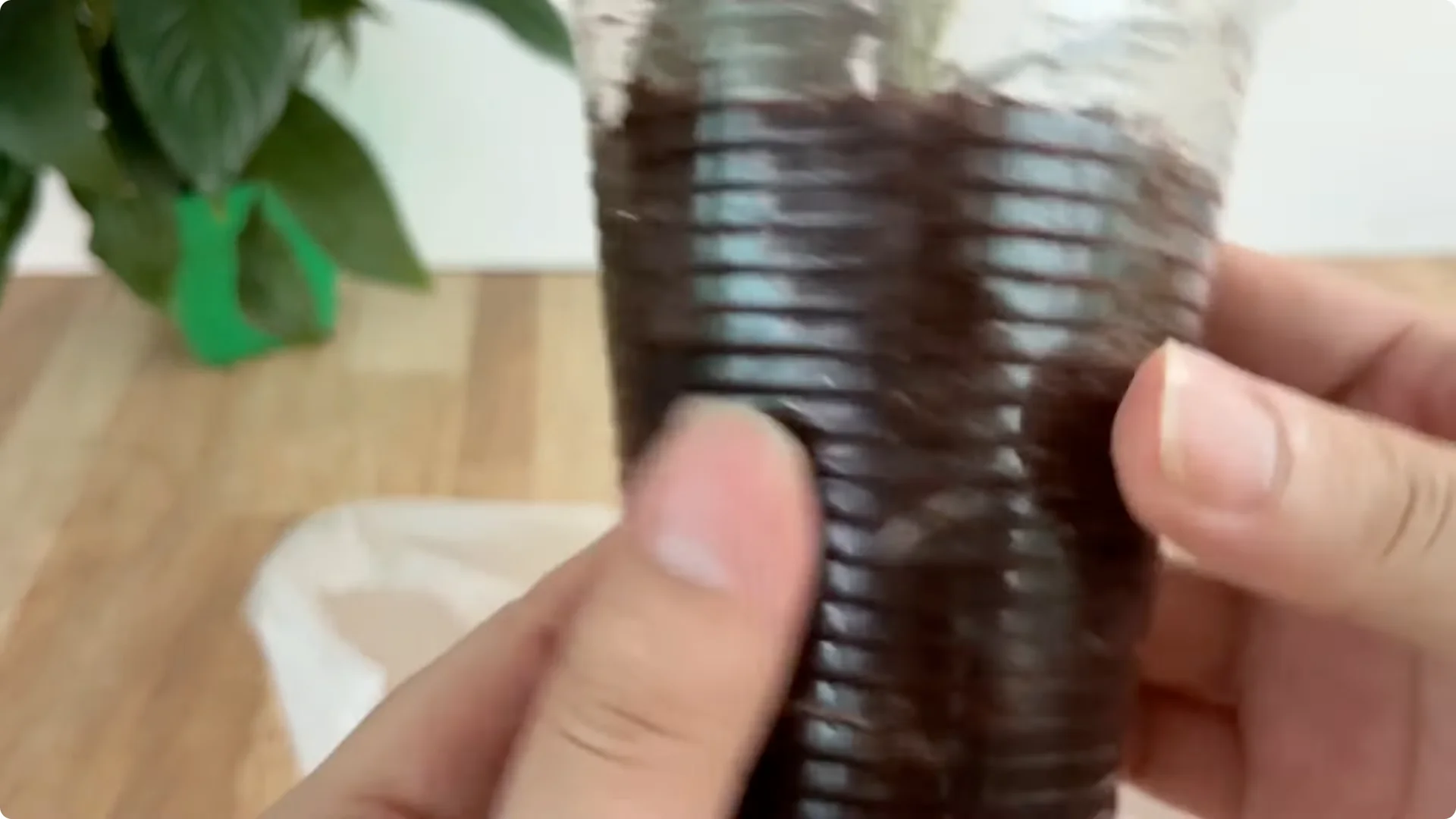 Why Sprinkling 1 Spoon Sparks Rose Branch Growth and Blooms screenshot 8