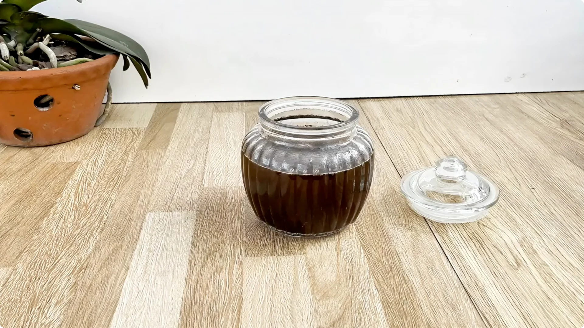 Why Sprinkling One Spoon Helps Rose Branches Root Fast screenshot 1