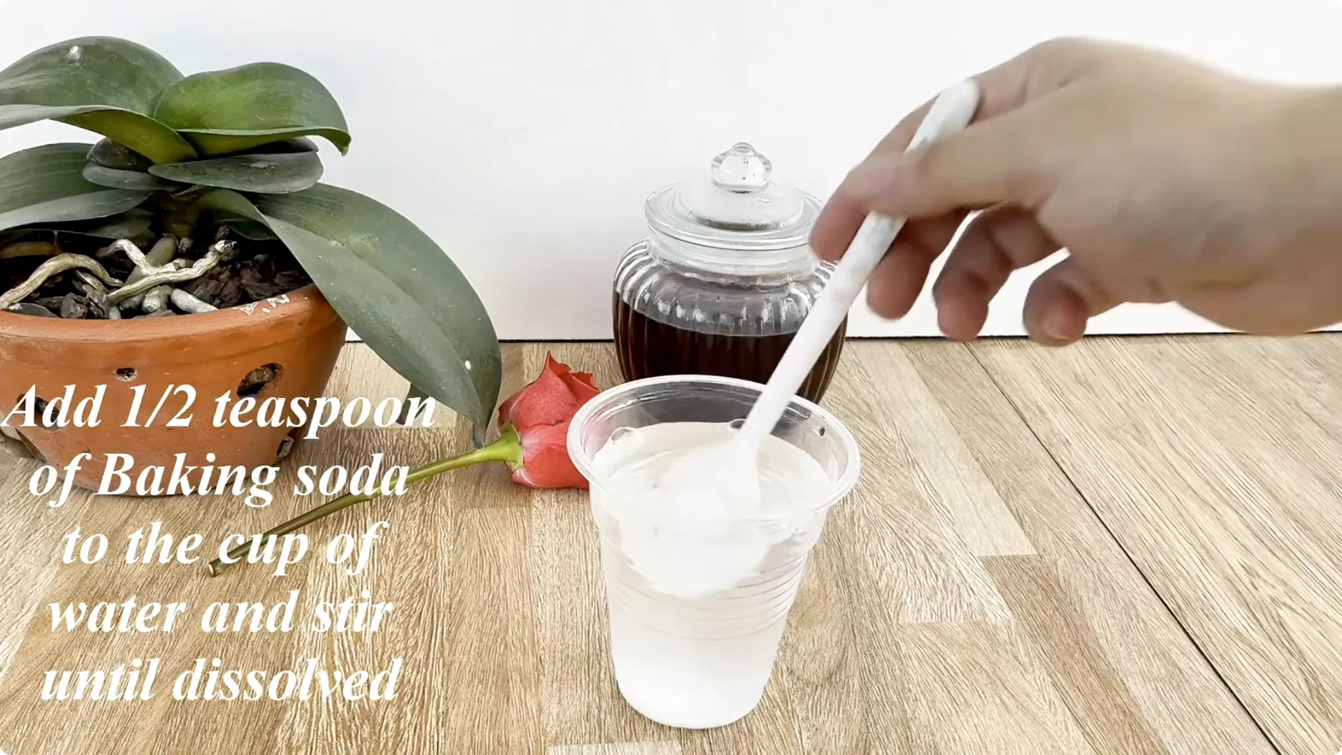 Why Sprinkling One Spoon Helps Rose Branches Root Fast screenshot 3
