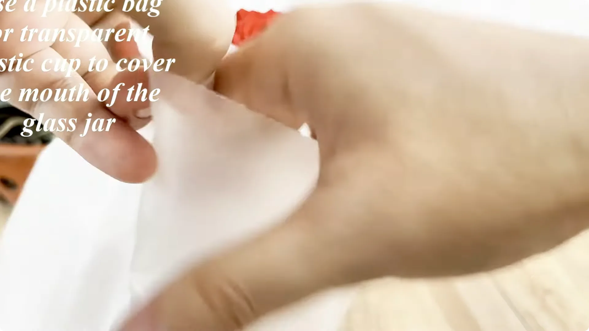 Why Sprinkling One Spoon Helps Rose Branches Root Fast screenshot 3