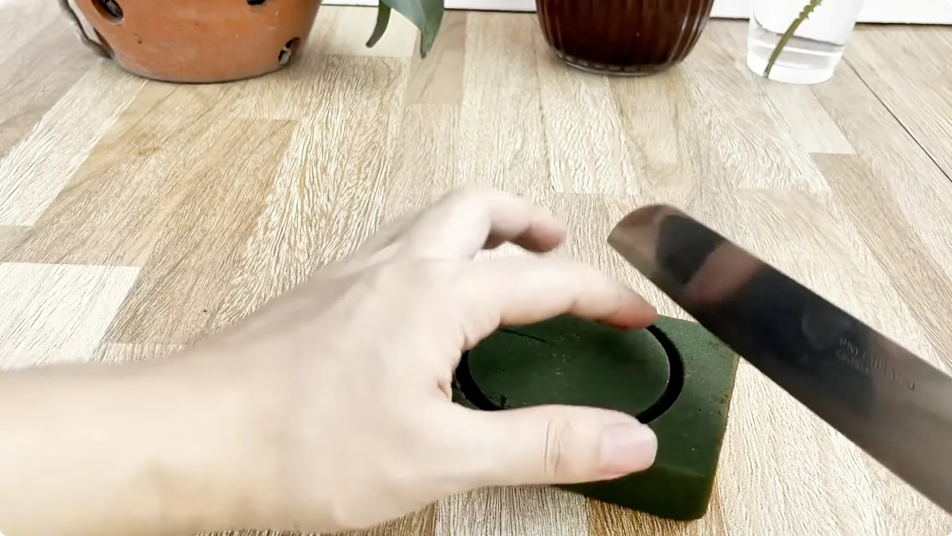 Why Sprinkling One Spoon Helps Rose Branches Root Fast screenshot 4
