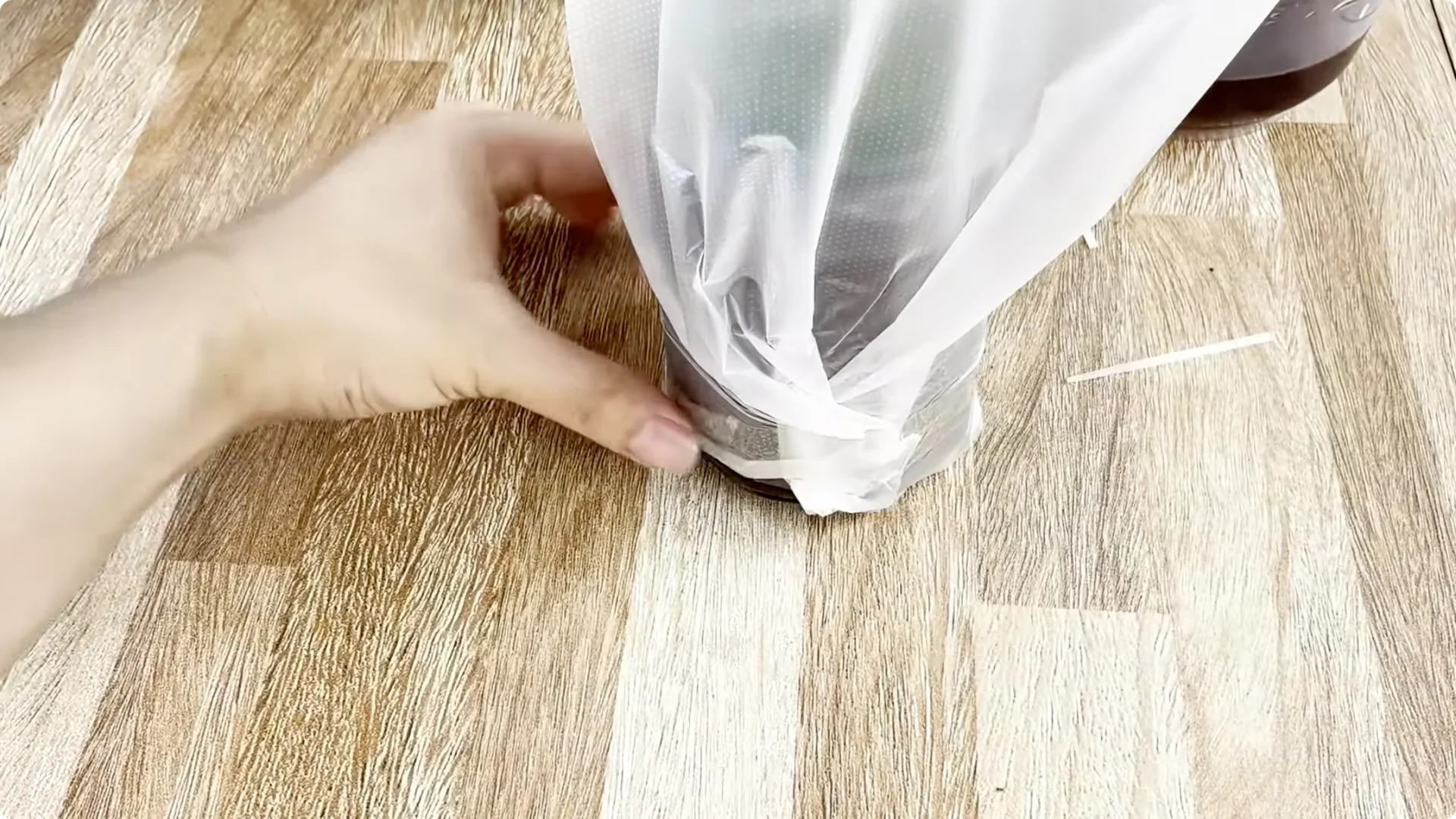 Why Sprinkling One Spoon Helps Rose Branches Root Fast screenshot 4