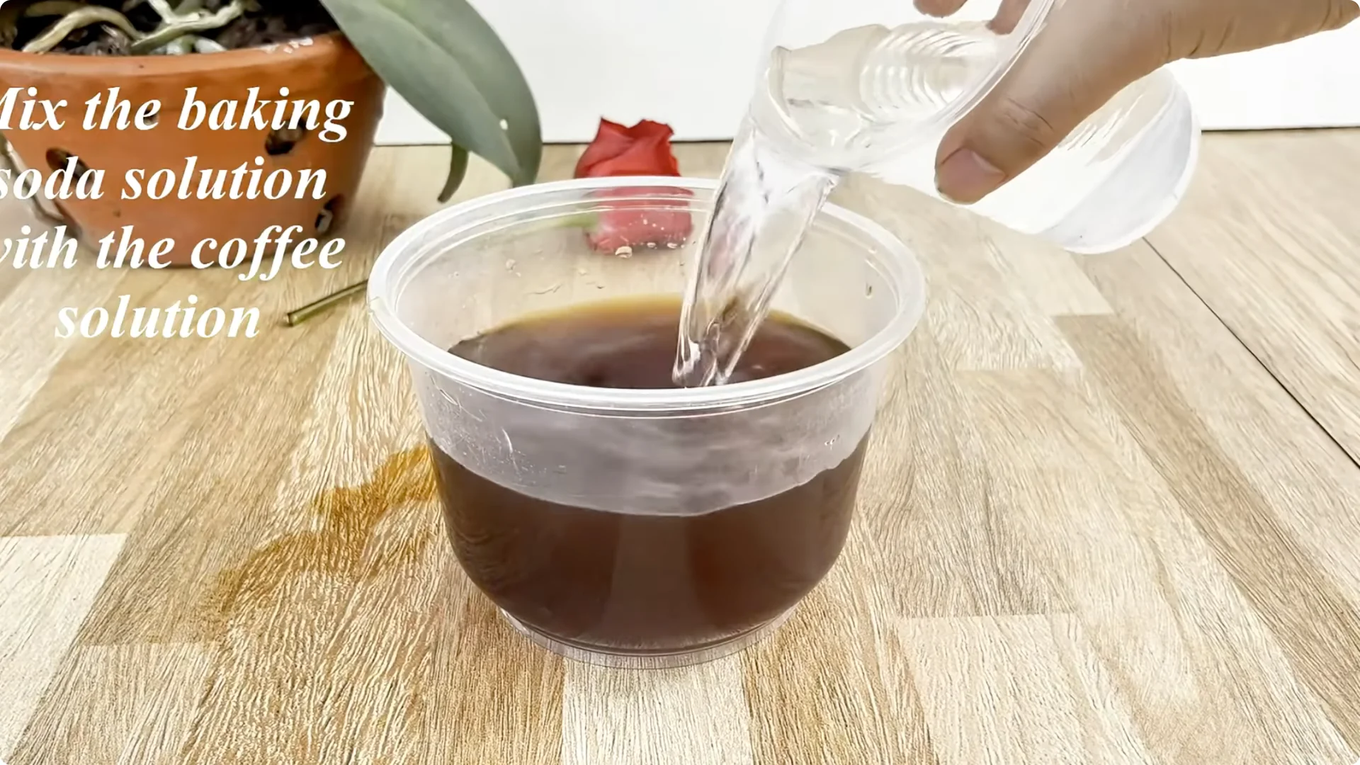 Why Sprinkling One Spoon Helps Rose Branches Root Fast screenshot 5