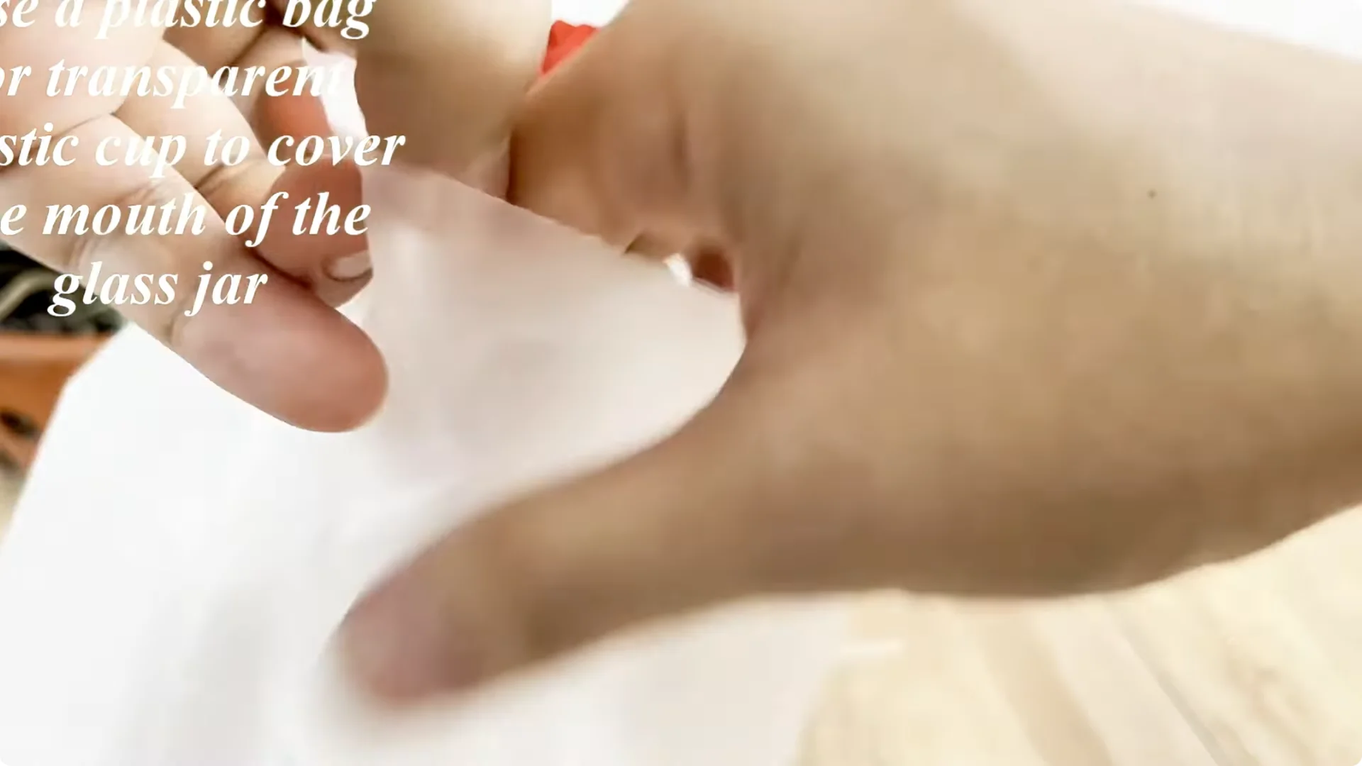 Why Sprinkling One Spoon Helps Rose Branches Root Fast screenshot 6
