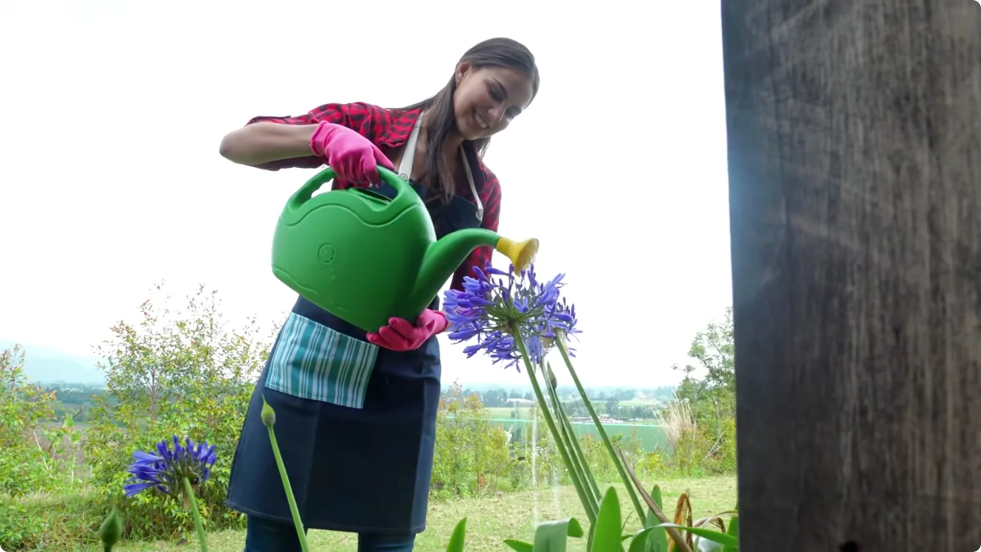 10 Lazy Perennials That Thrive in Pots screenshot 2