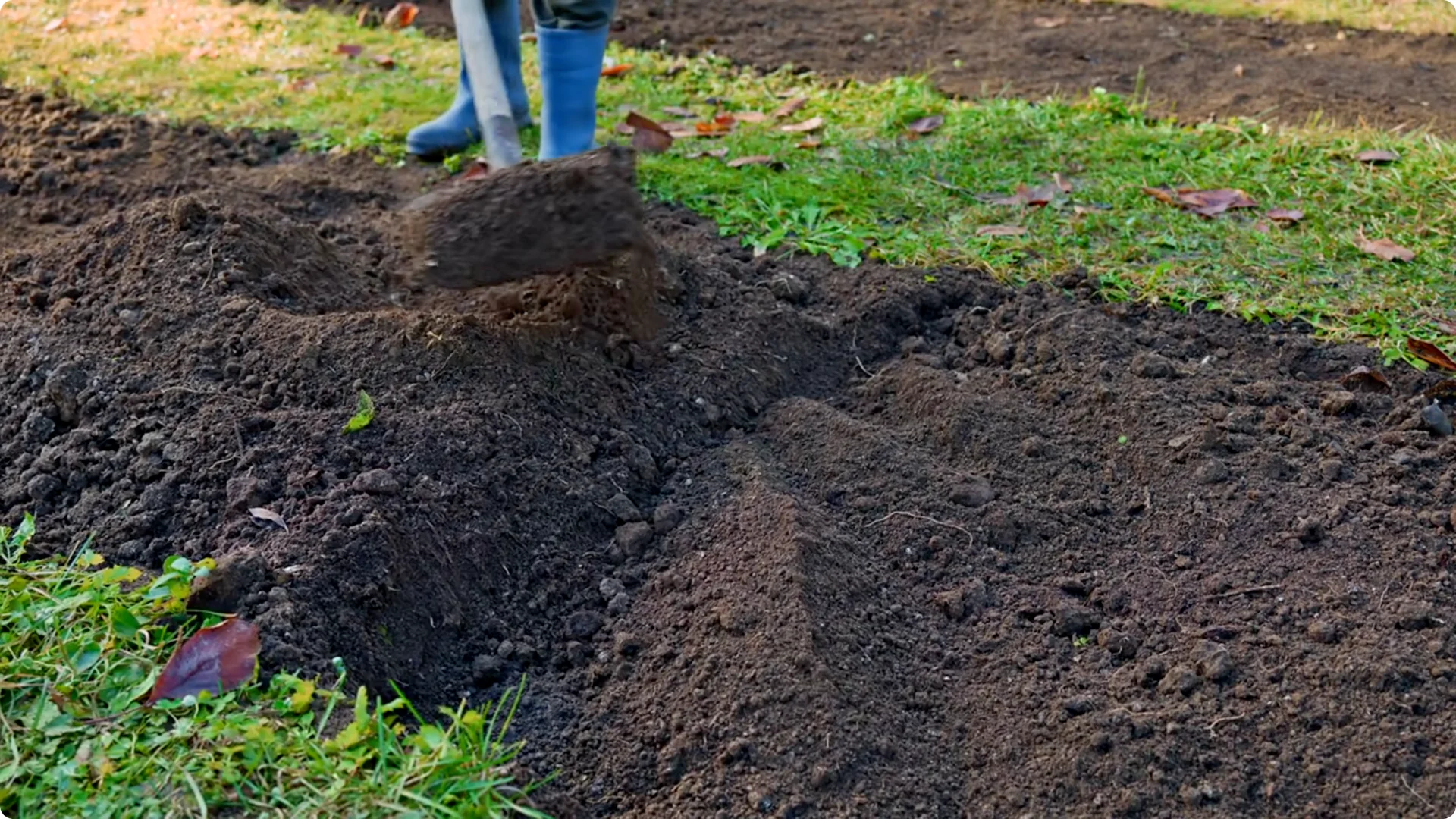 10 Perennials You Must Never Grow in Your Garden screenshot 3
