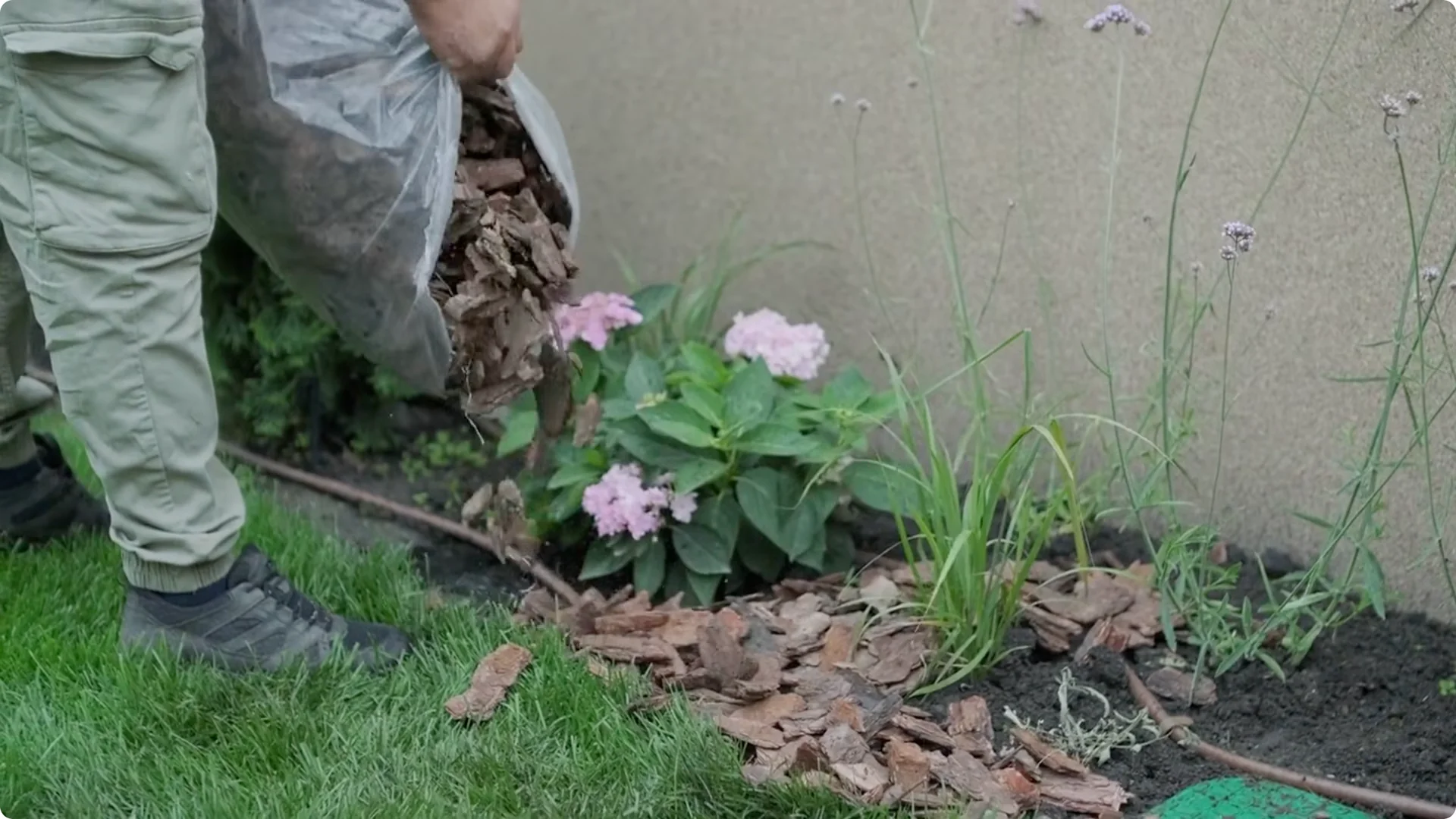 10 Secrets to Growing Zinnias That Bloom Nonstop (Even If You're a Beginner) screenshot 9