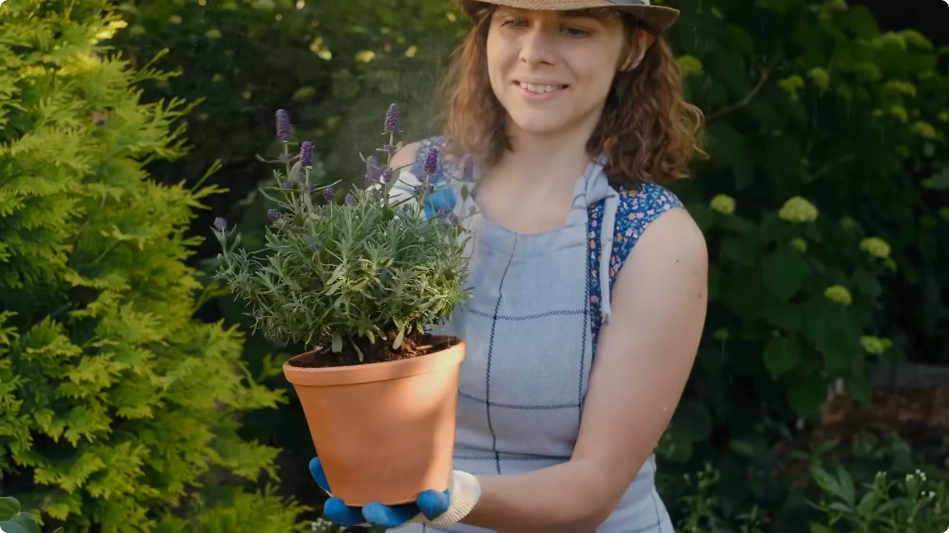 5 Mistakes You Must NEVER Make When Growing Lavender screenshot 7