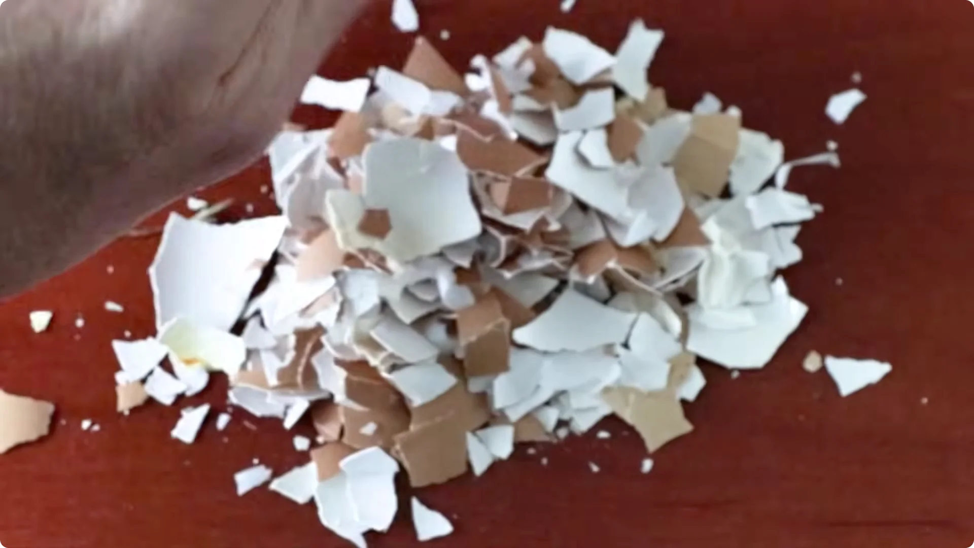 5 Natural Fertilizers That Work Instantly to revive Dead Hydrangeas screenshot 12