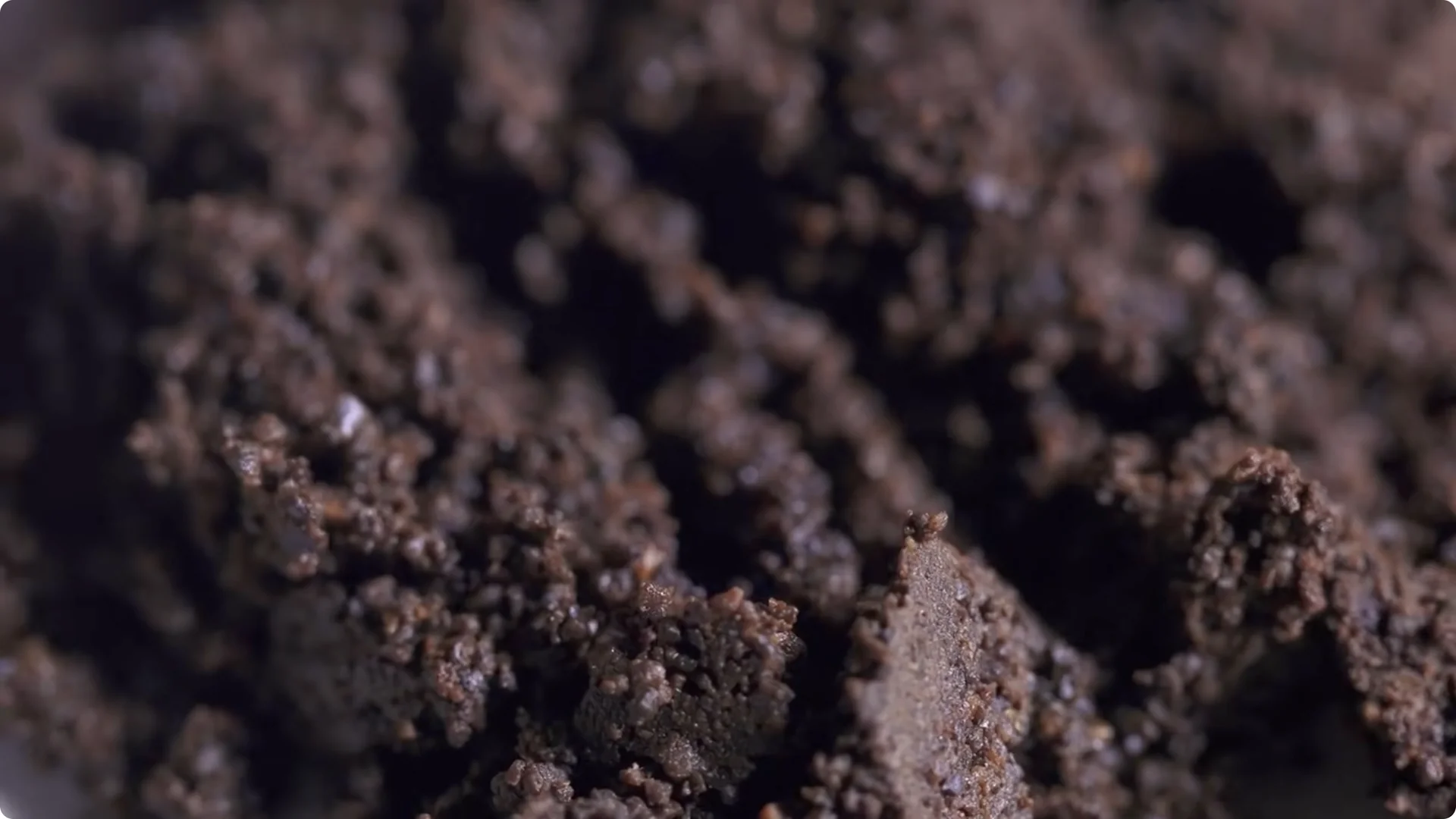 5 Natural Fertilizers That Work Instantly to revive Dead Hydrangeas screenshot 7