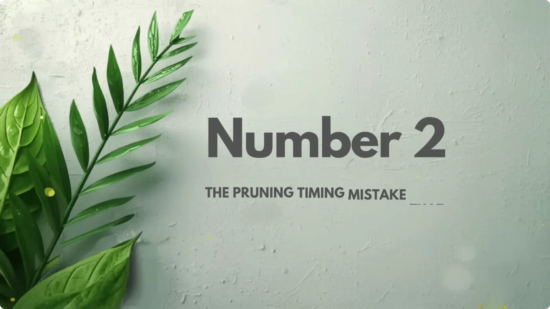 5 Secrets to Growing Hydrangeas That Never Die (Even If You Forget It) screenshot 11
