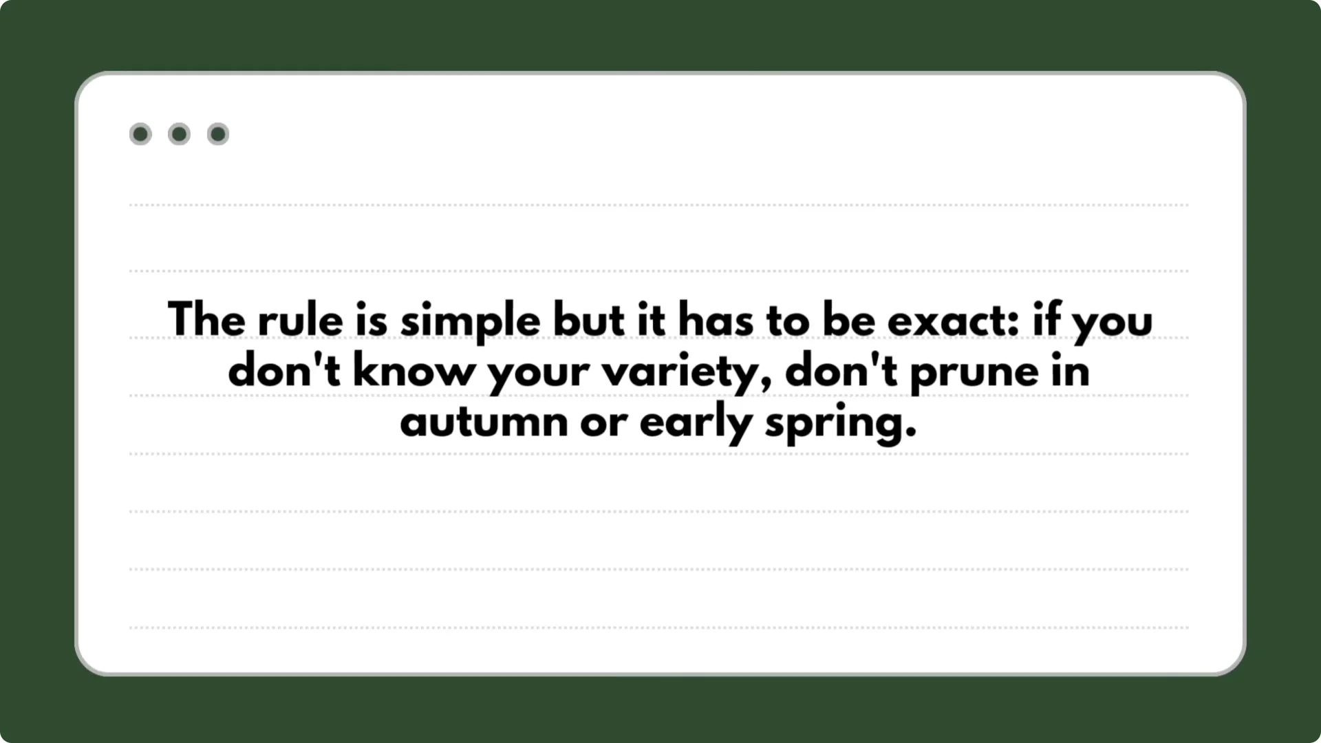 5 Secrets to Growing Hydrangeas That Never Die (Even If You Forget It) screenshot 13