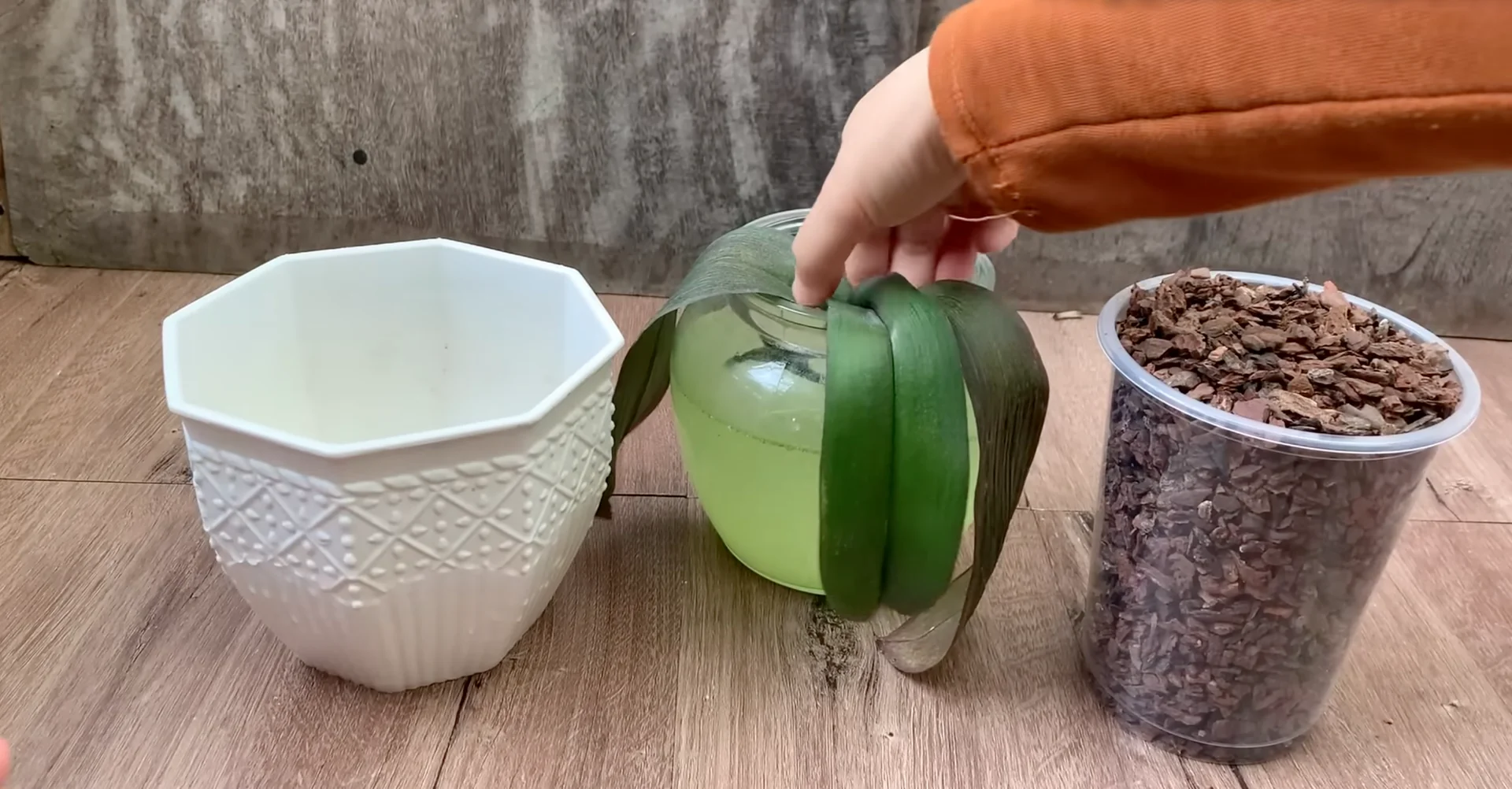 Easy Way to Revive a Dying Orchid That Truly Works screenshot 8