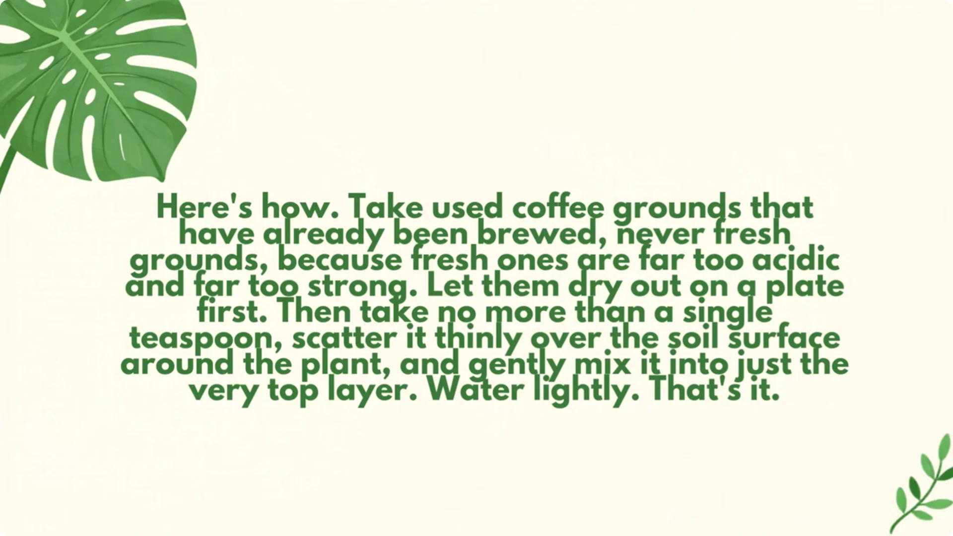 How Dead Lavender Revives: 5 Natural Fertilizers That Work Fast screenshot 8