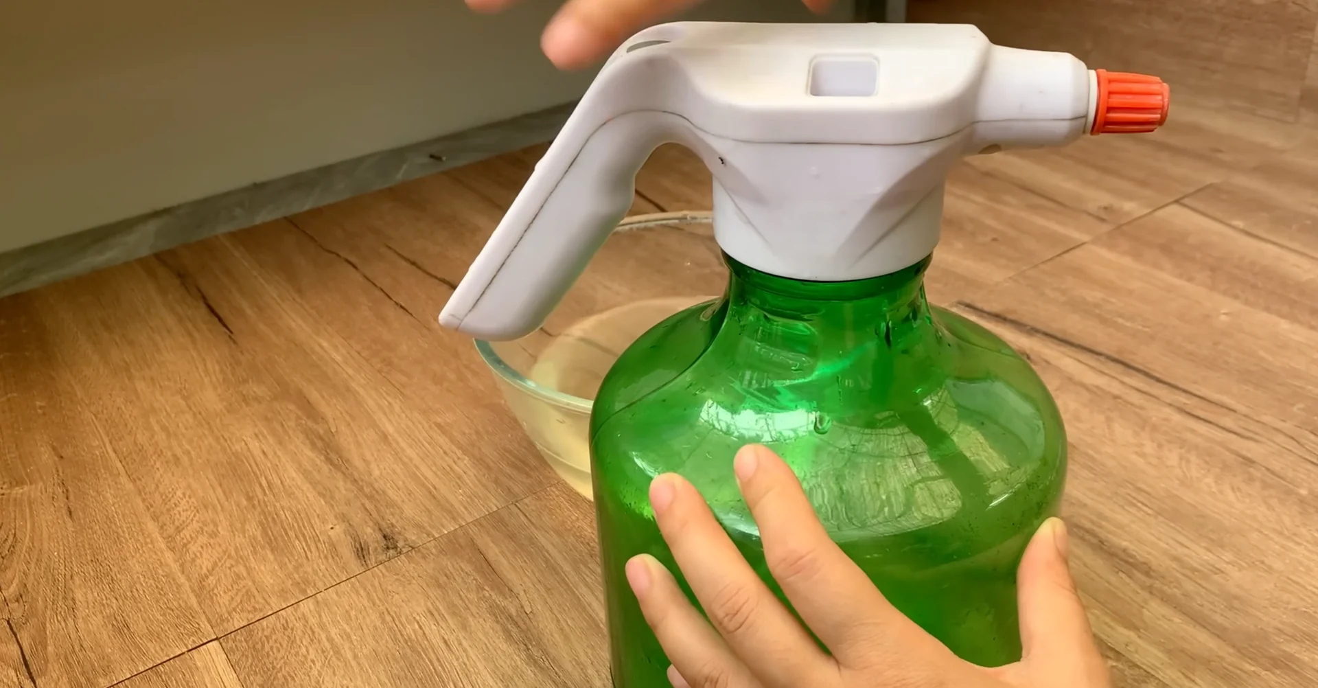 How One Drink a Week Transforms Orchid Growth and Blooms? screenshot 7