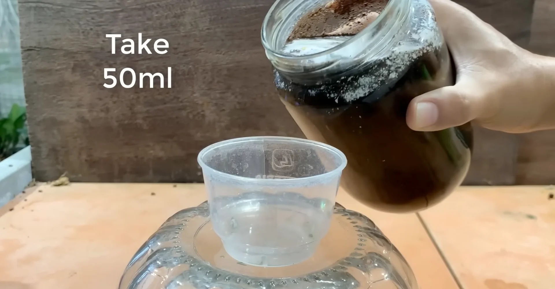 How One Spoonful Transformed My Orchid Growth Rate? screenshot 4