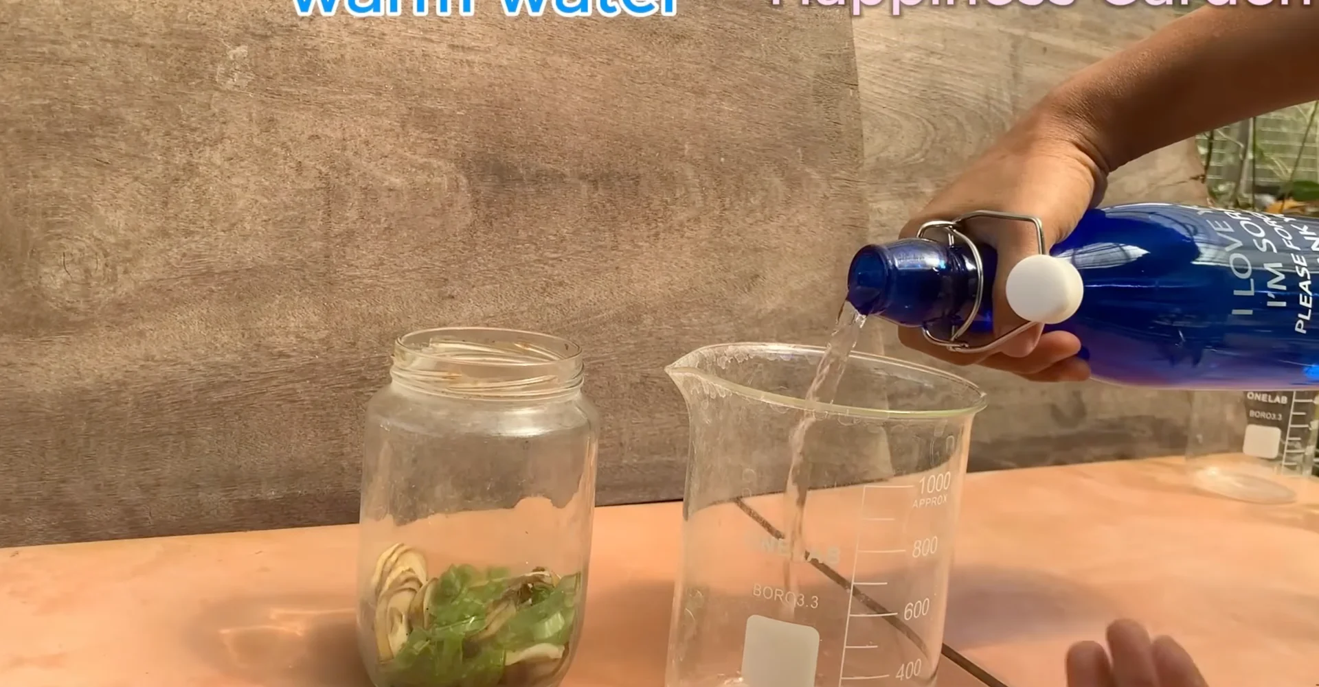 How to Boost Orchid Root Growth for Year-Round Blooms? screenshot 4