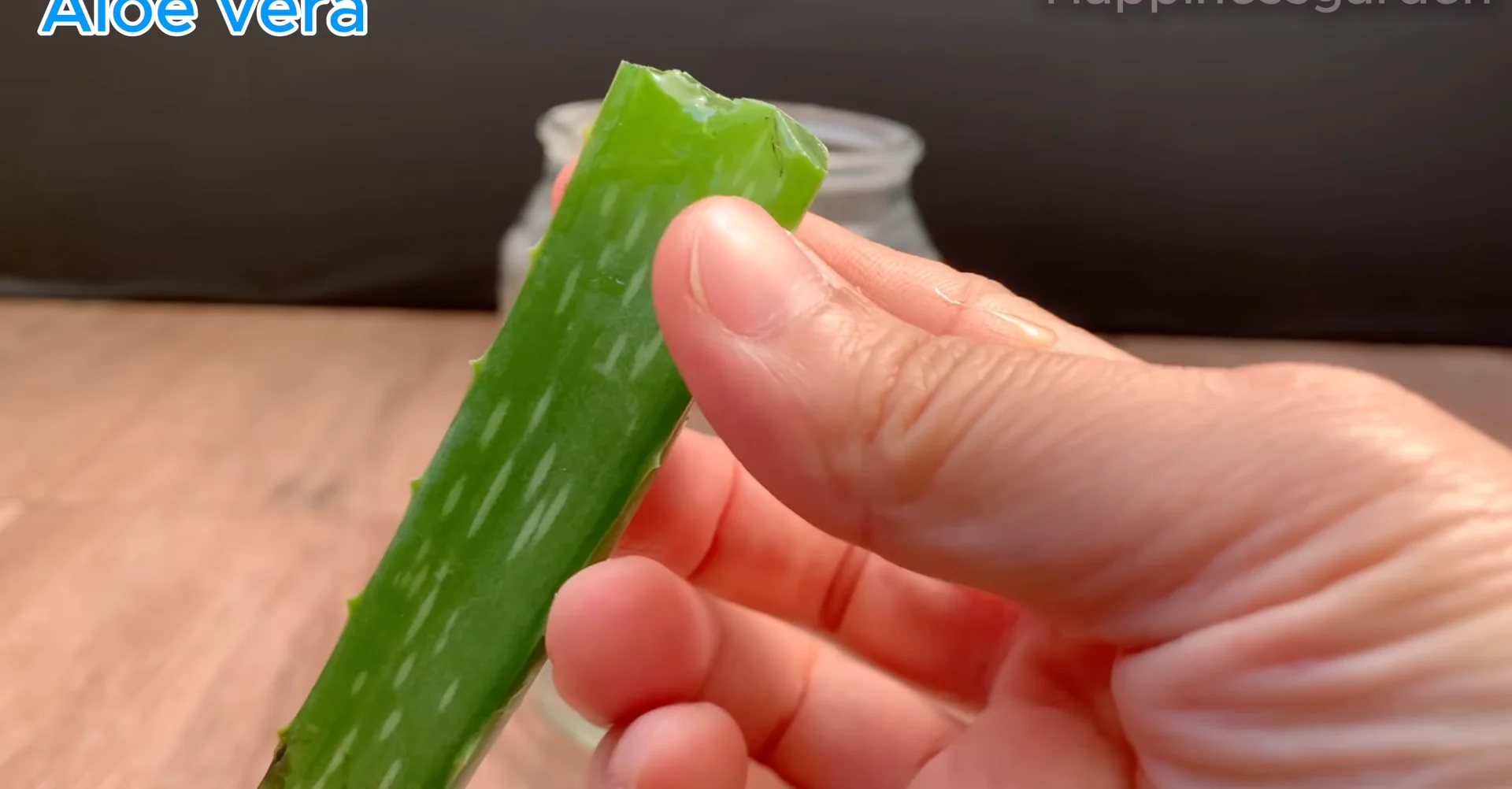 How to Help Your Orchid Root and Bloom Much Faster? screenshot 1