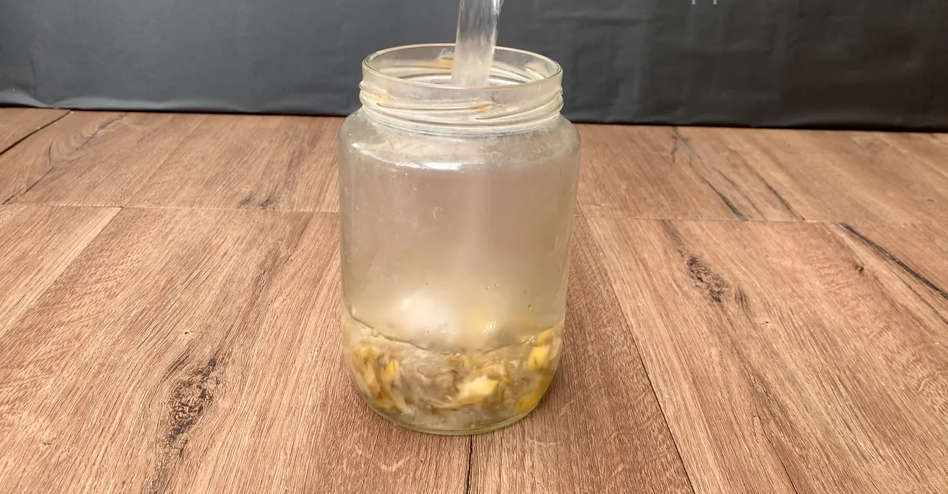 How to Revive Dying Orchids at Home with Natural Care? screenshot 1