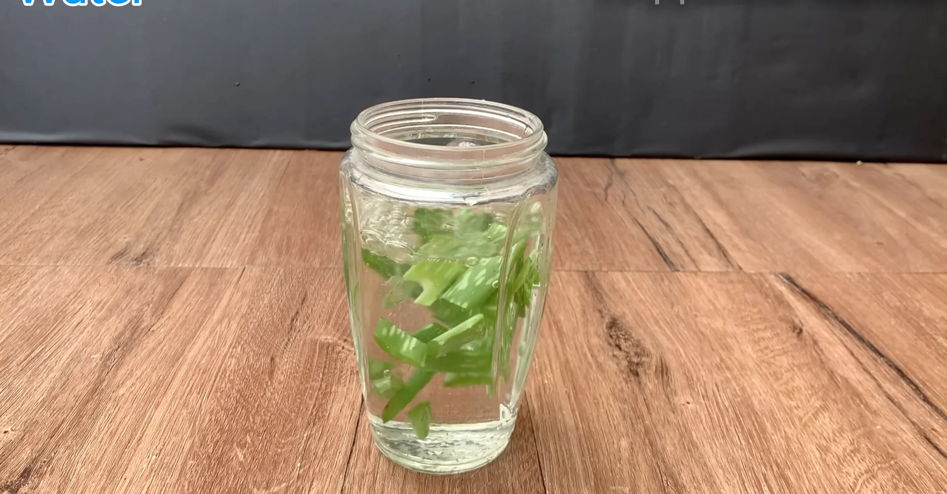 How to Revive Orchids for Healthier Roots and Constant Blooms? screenshot 4