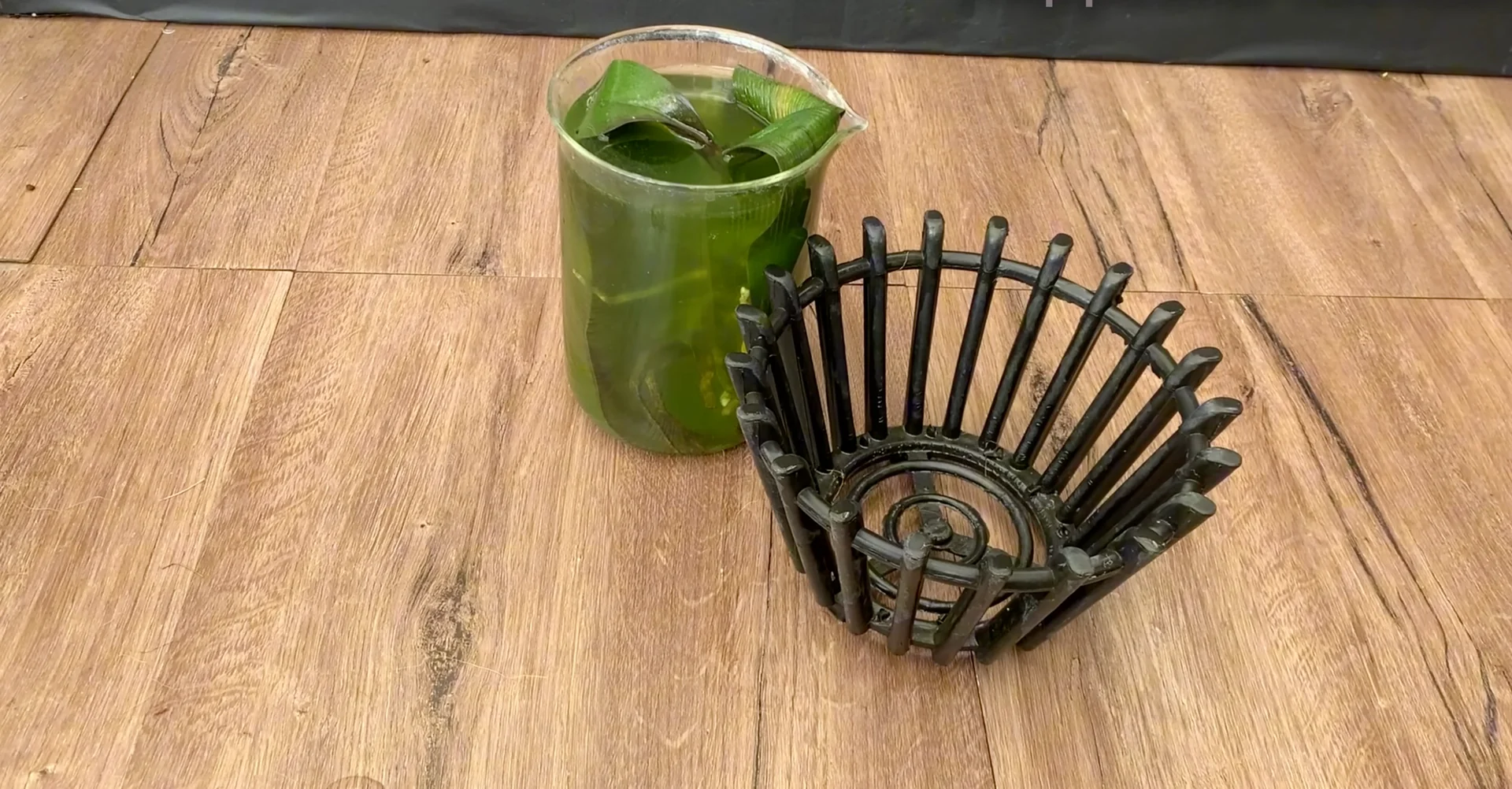 How to Revive Orchids for Healthier Roots and Constant Blooms? screenshot 5