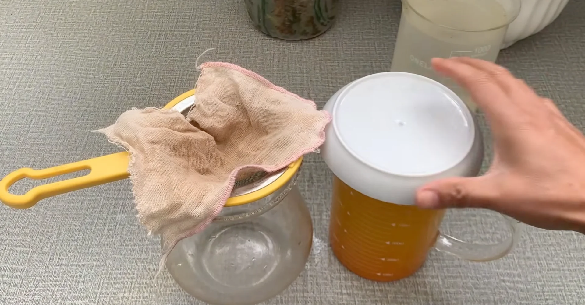 How Turmeric Powder Boosts Orchid Roots and Blooms? screenshot 11