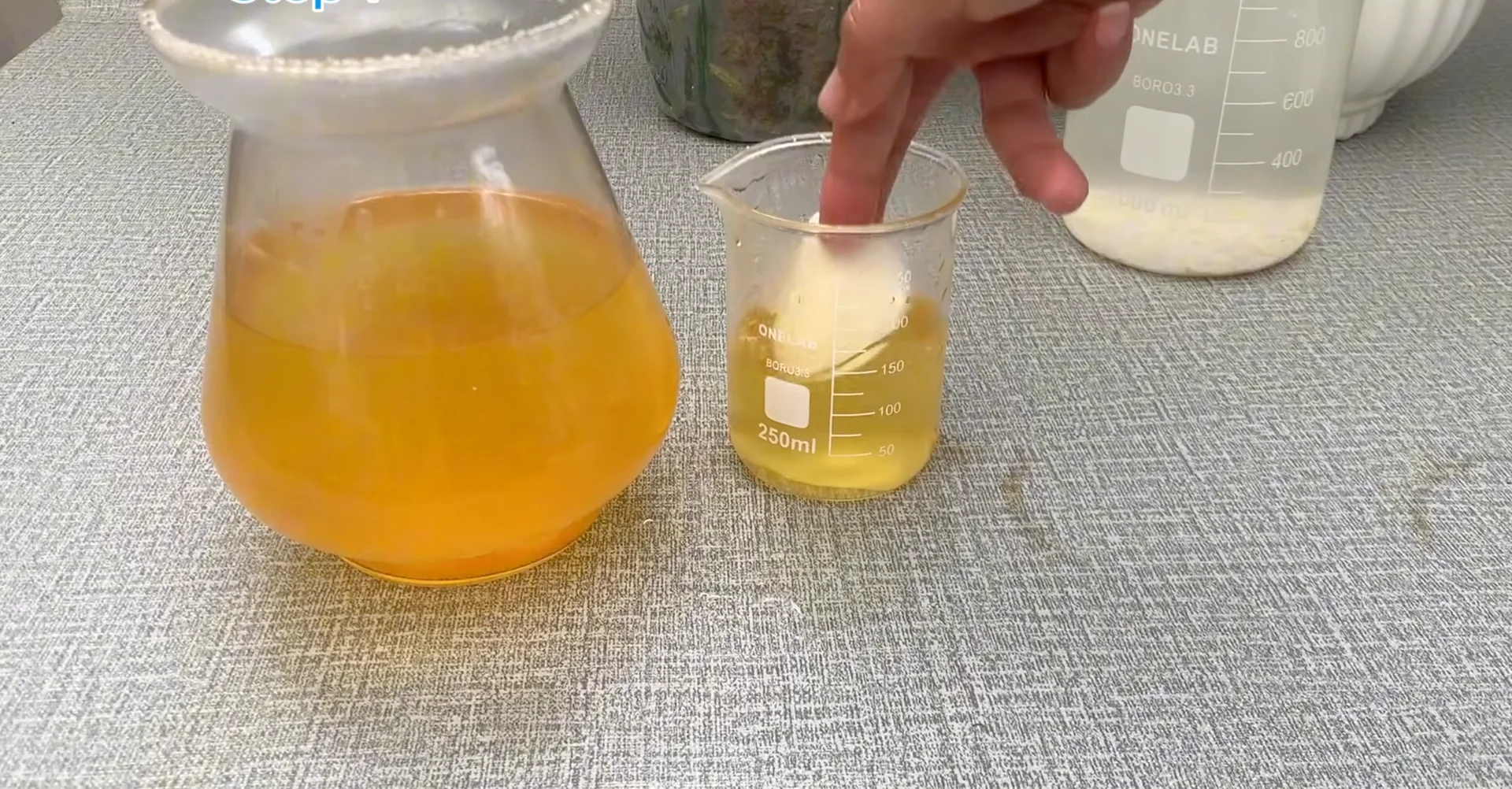 How Turmeric Powder Boosts Orchid Roots and Blooms? screenshot 12
