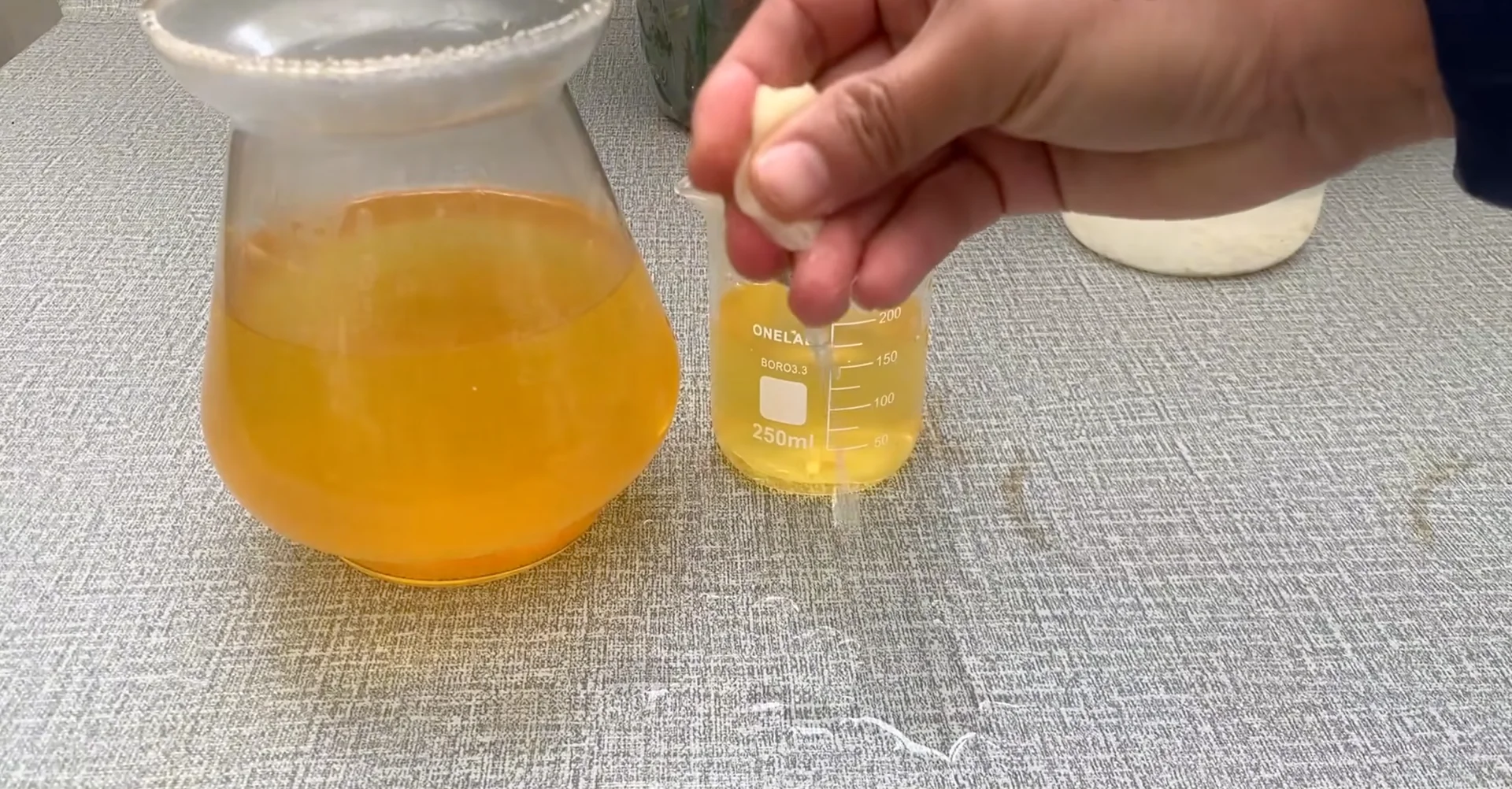 How Turmeric Powder Boosts Orchid Roots and Blooms? screenshot 13