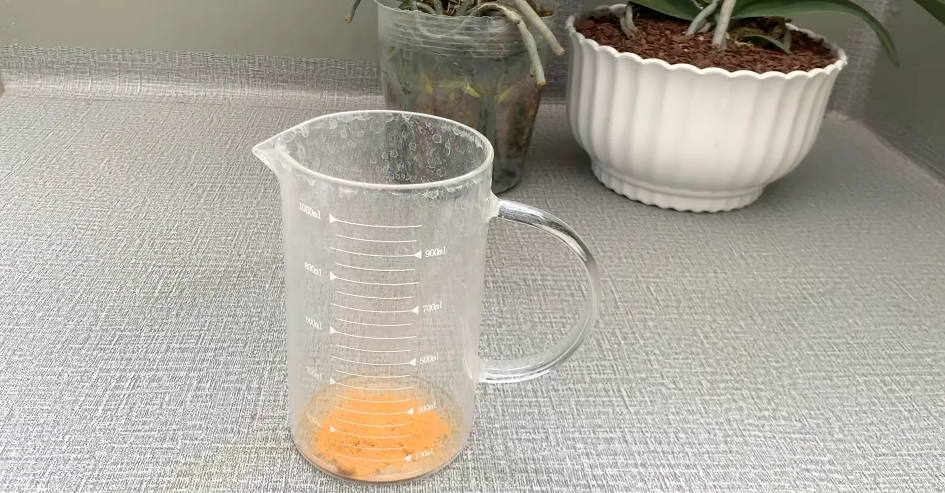 How Turmeric Powder Boosts Orchid Roots and Blooms? screenshot 7