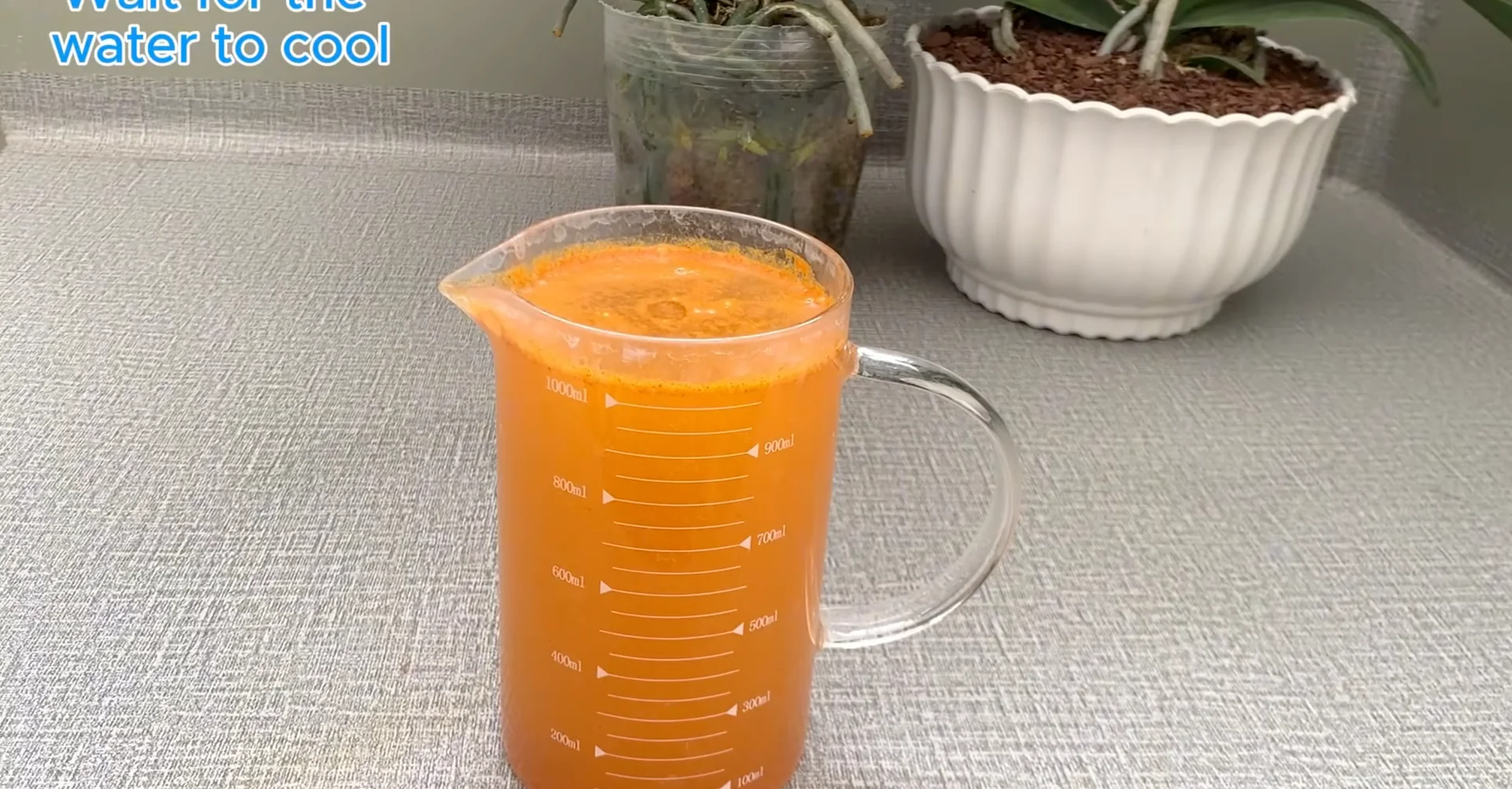 How Turmeric Powder Boosts Orchid Roots and Blooms? screenshot 8