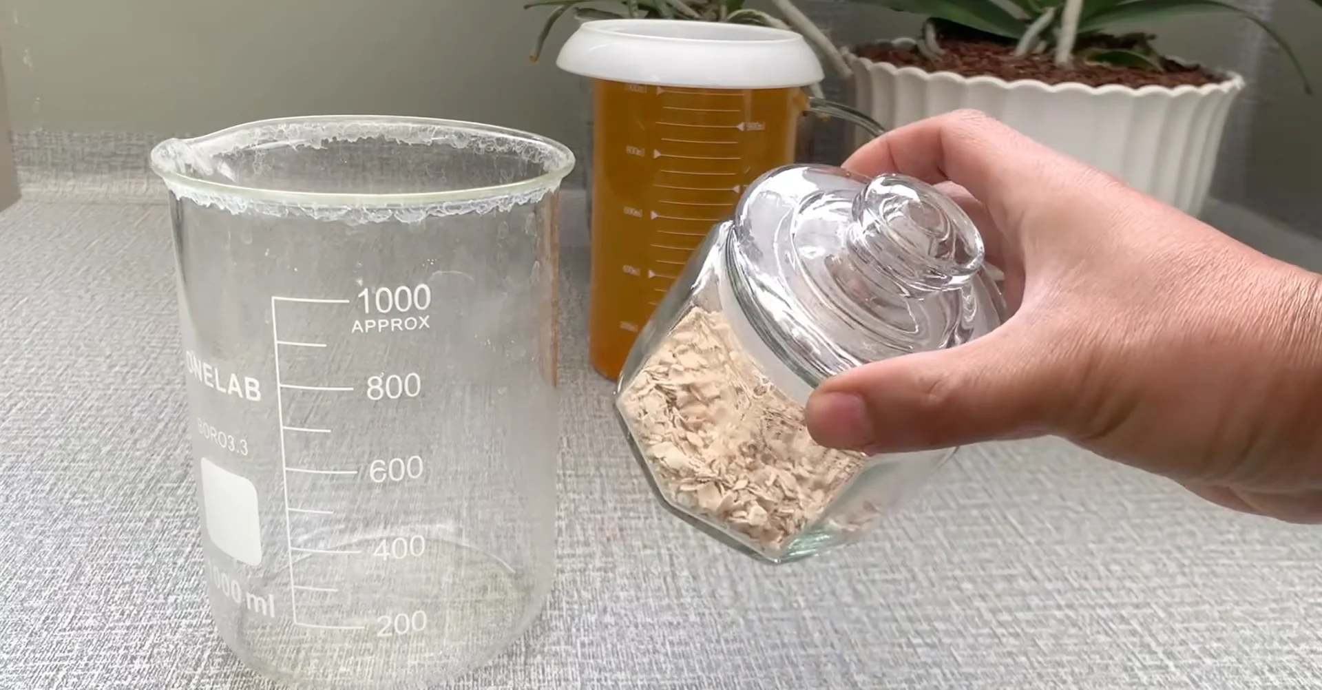 How Turmeric Powder Boosts Orchid Roots and Blooms? screenshot 9