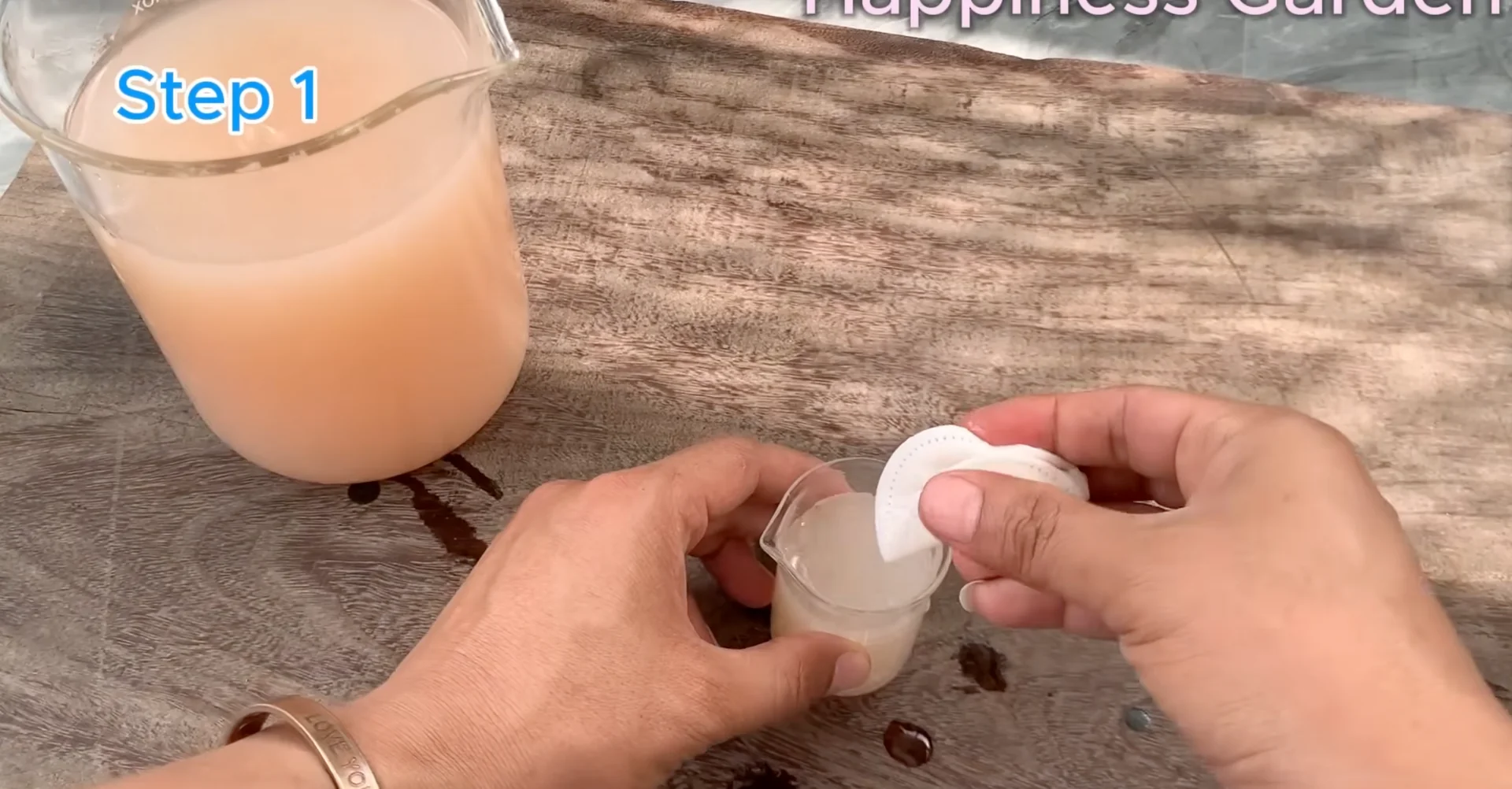 How Watering Orchid Roots Sparks Year-Round Blooms? screenshot 3
