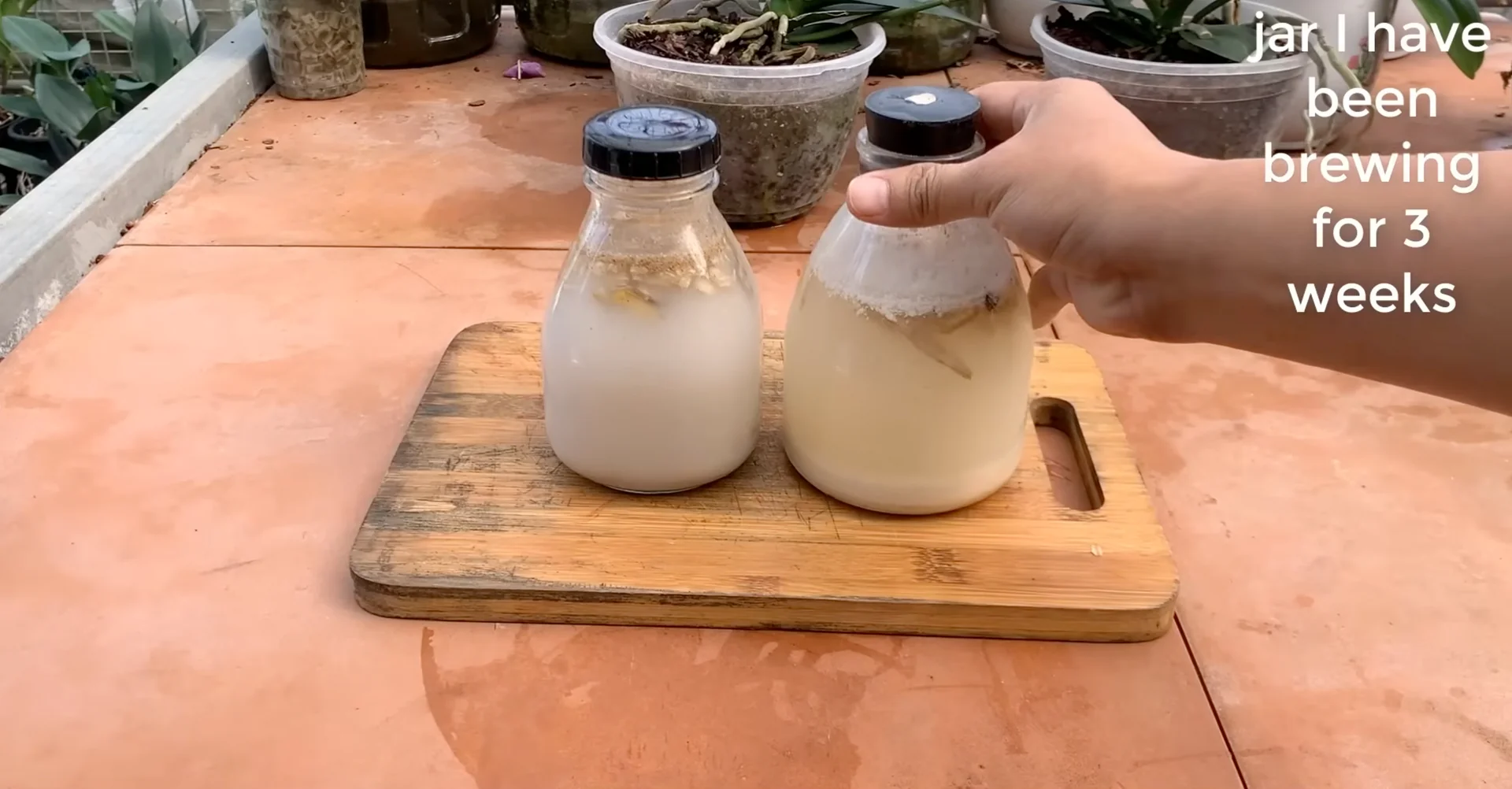 Sprinkle This on Orchids to Unlock Unexpected Blooms screenshot 5
