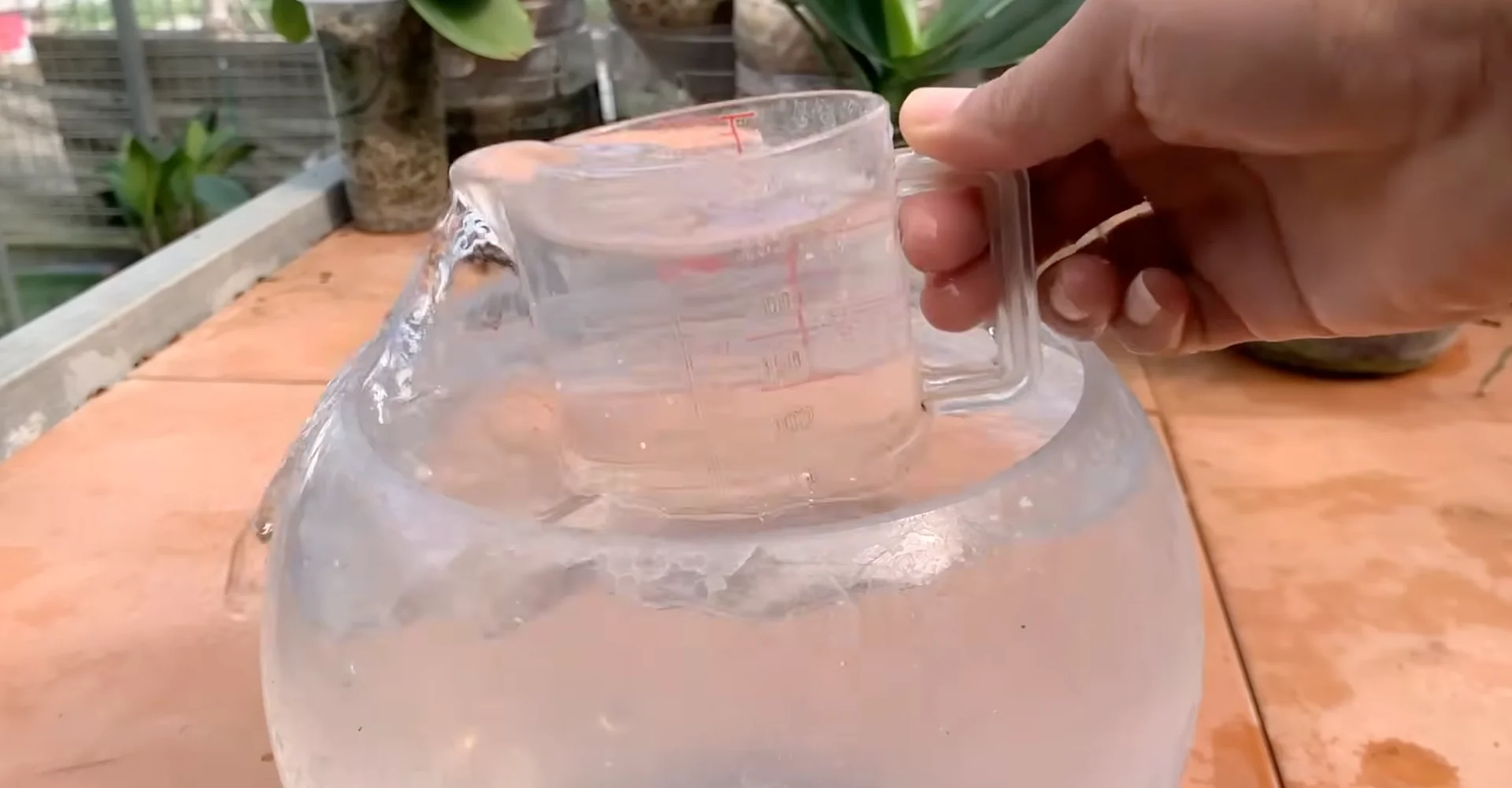 Sprinkle This on Orchids to Unlock Unexpected Blooms screenshot 7
