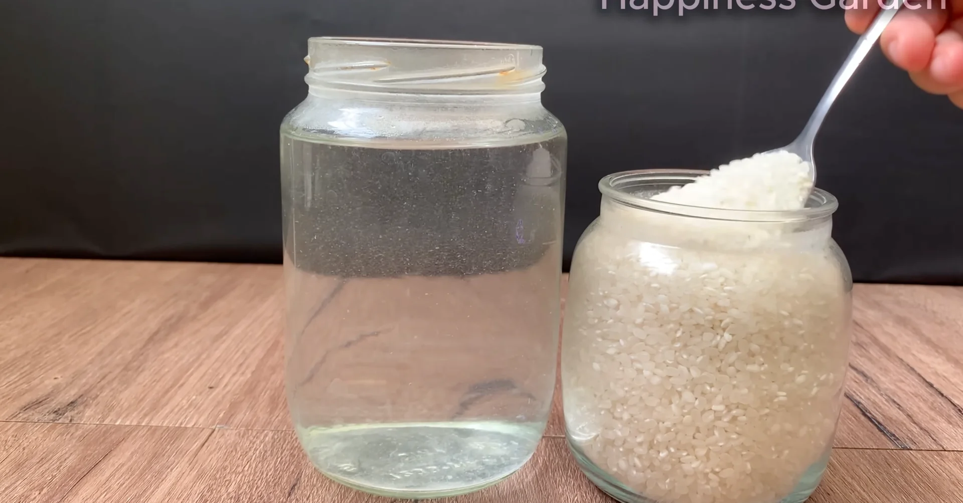 Sprinkle This to Help Orchids Grow New Roots and Bloom More screenshot 2