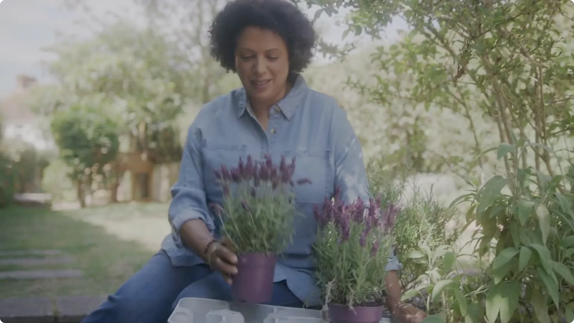 Stop Ruining Your Lavender! 7 Planting Mistakes to Avoid! screenshot 2