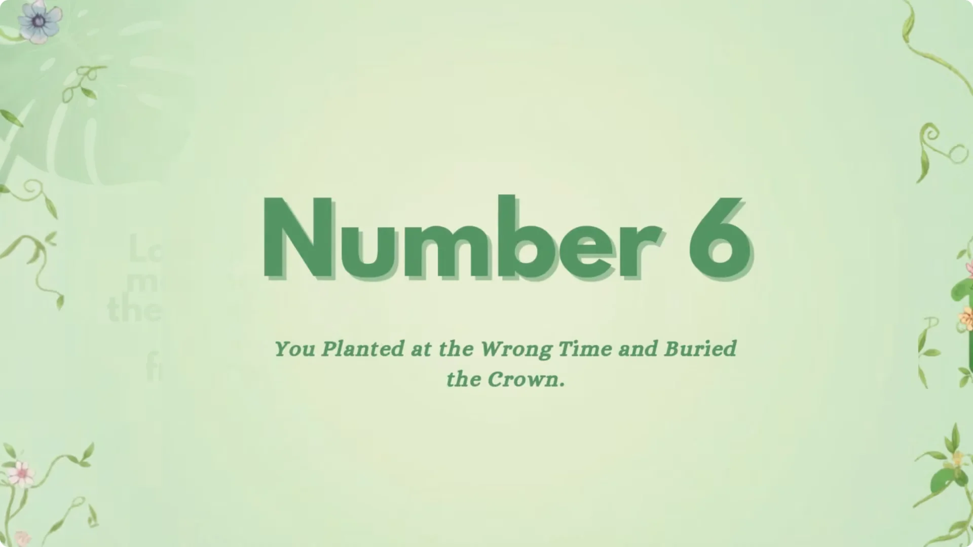 Stop Ruining Your Lavender! 7 Planting Mistakes to Avoid! screenshot 6