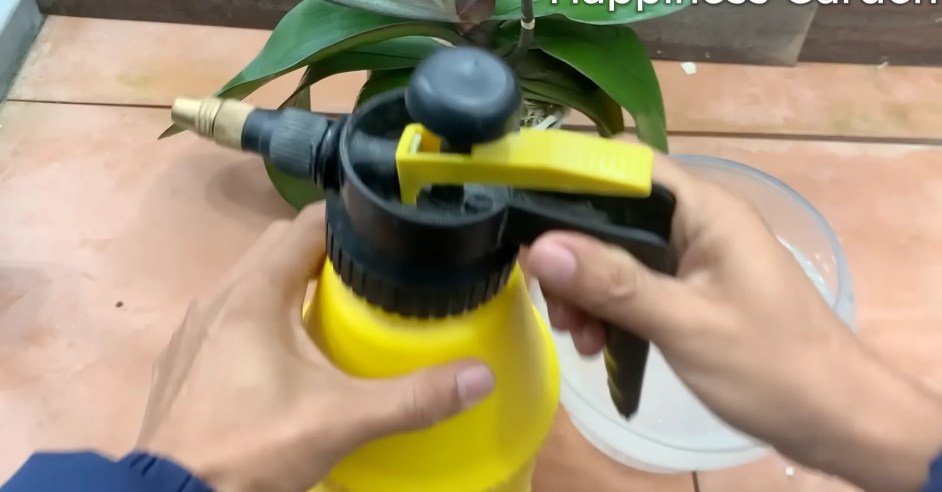 The One Spoonful Trick That Boosts Orchid Roots and Blooms screenshot 10