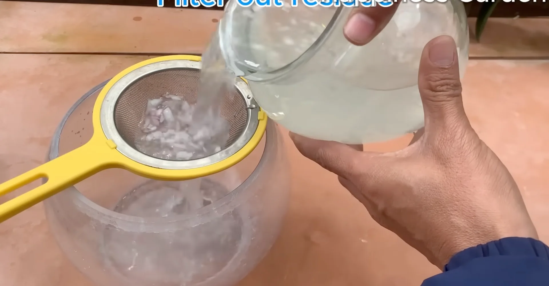 The One Spoonful Trick That Boosts Orchid Roots and Blooms screenshot 7