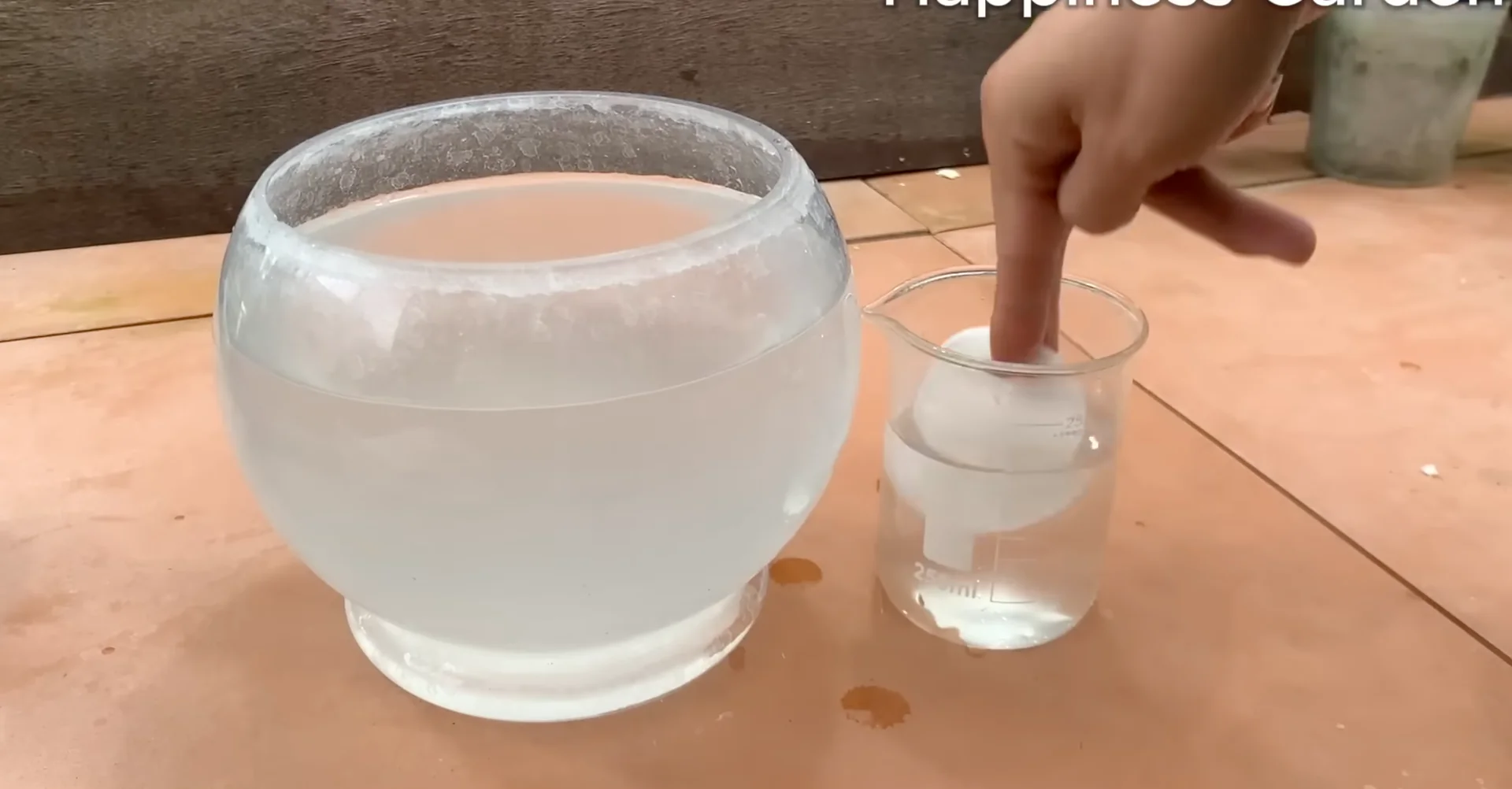 The One Spoonful Trick That Boosts Orchid Roots and Blooms screenshot 8