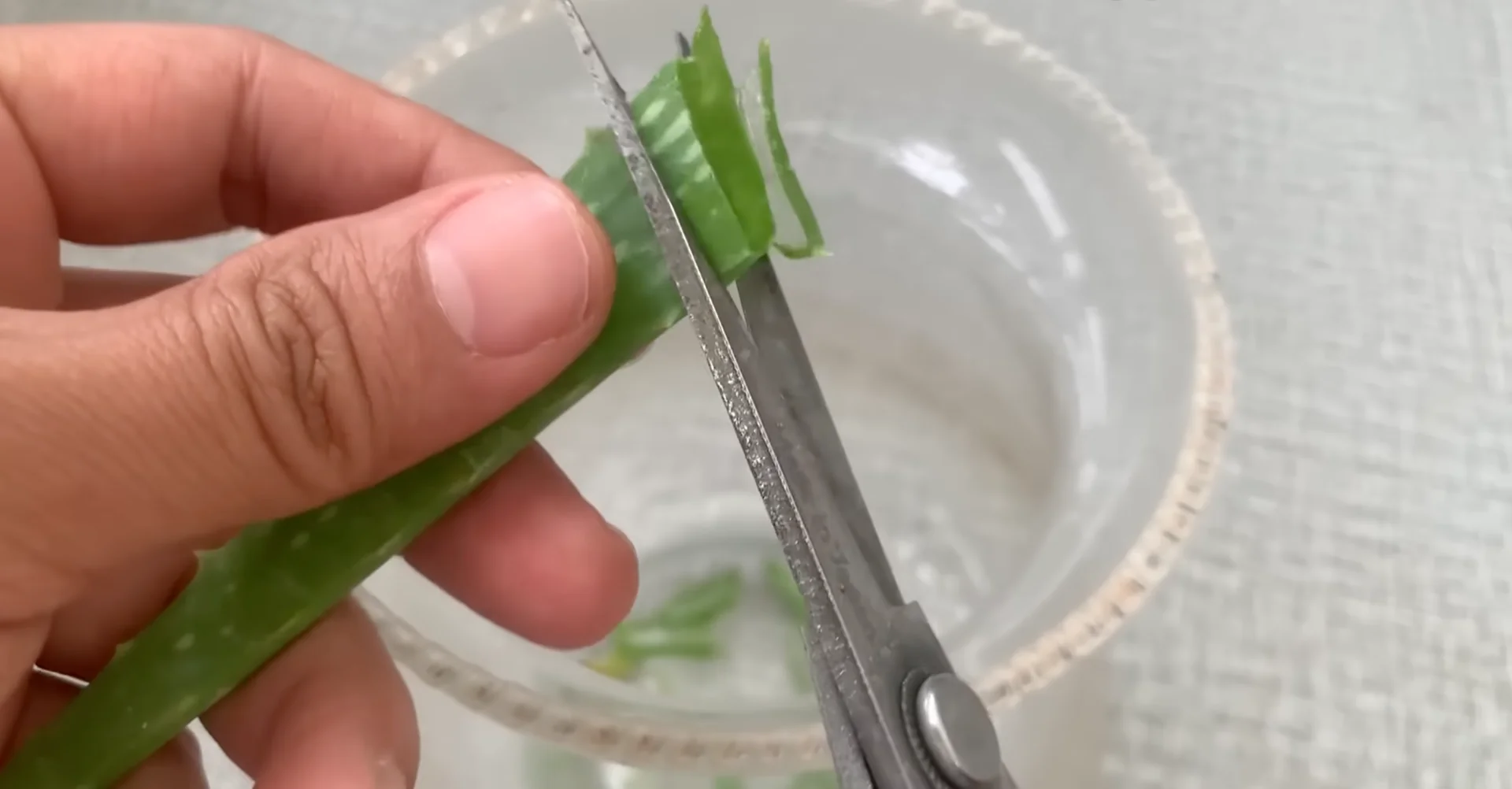 The Secret to Growing 100 Orchid Roots and Year-Round Blooms screenshot 1