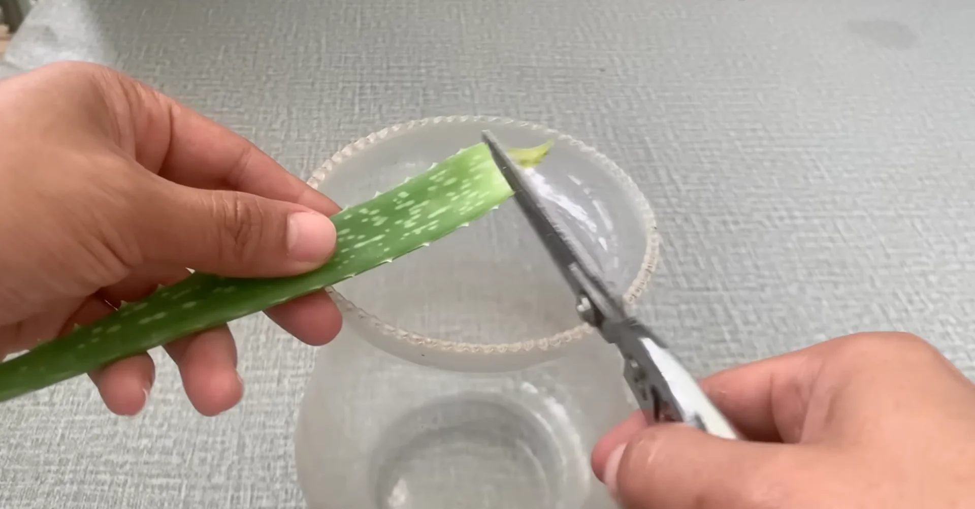The Secret to Growing 100 Orchid Roots and Year-Round Blooms screenshot 2