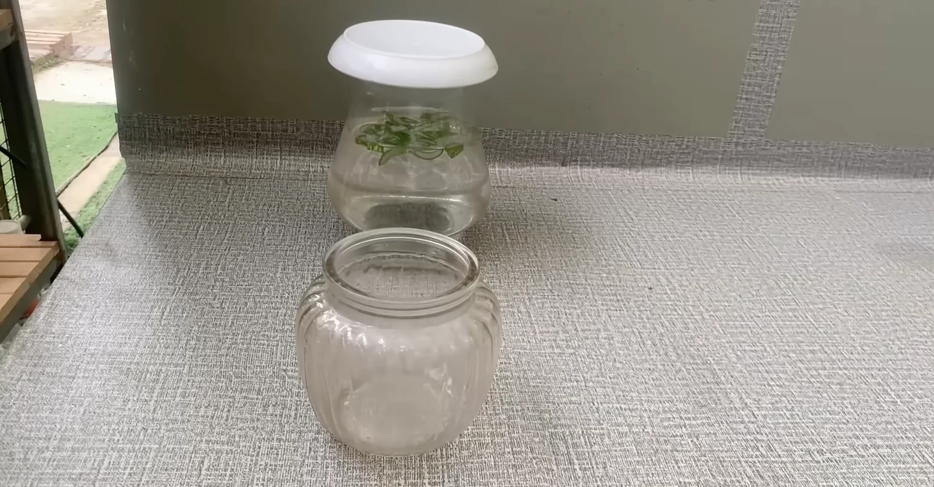The Secret to Growing 100 Orchid Roots and Year-Round Blooms screenshot 3