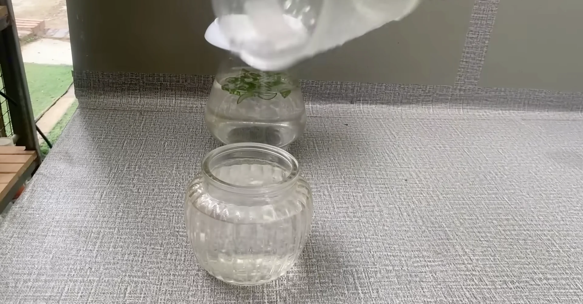 The Secret to Growing 100 Orchid Roots and Year-Round Blooms screenshot 4