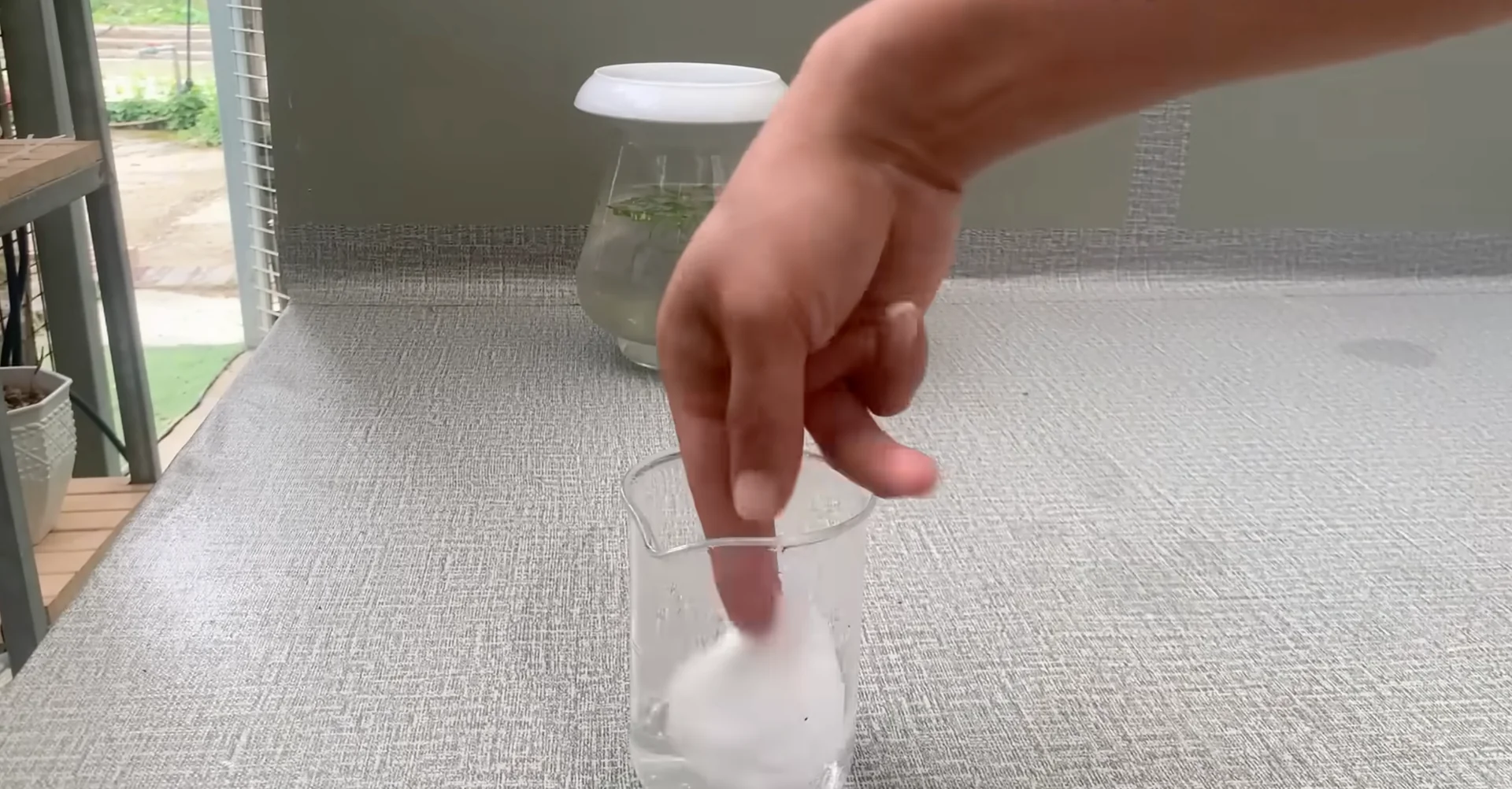 The Secret to Growing 100 Orchid Roots and Year-Round Blooms screenshot 5