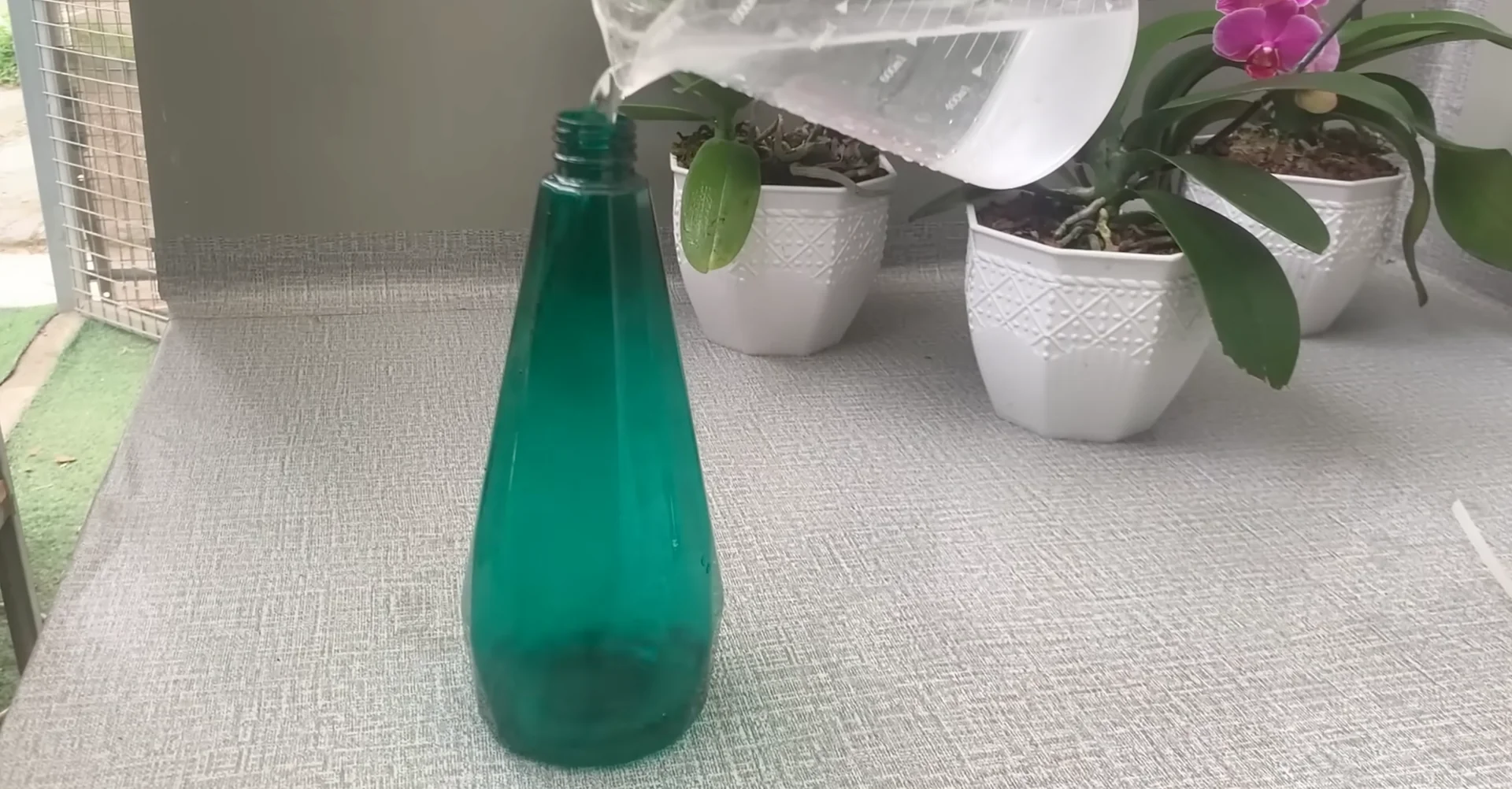 The Secret to Growing 100 Orchid Roots and Year-Round Blooms screenshot 6