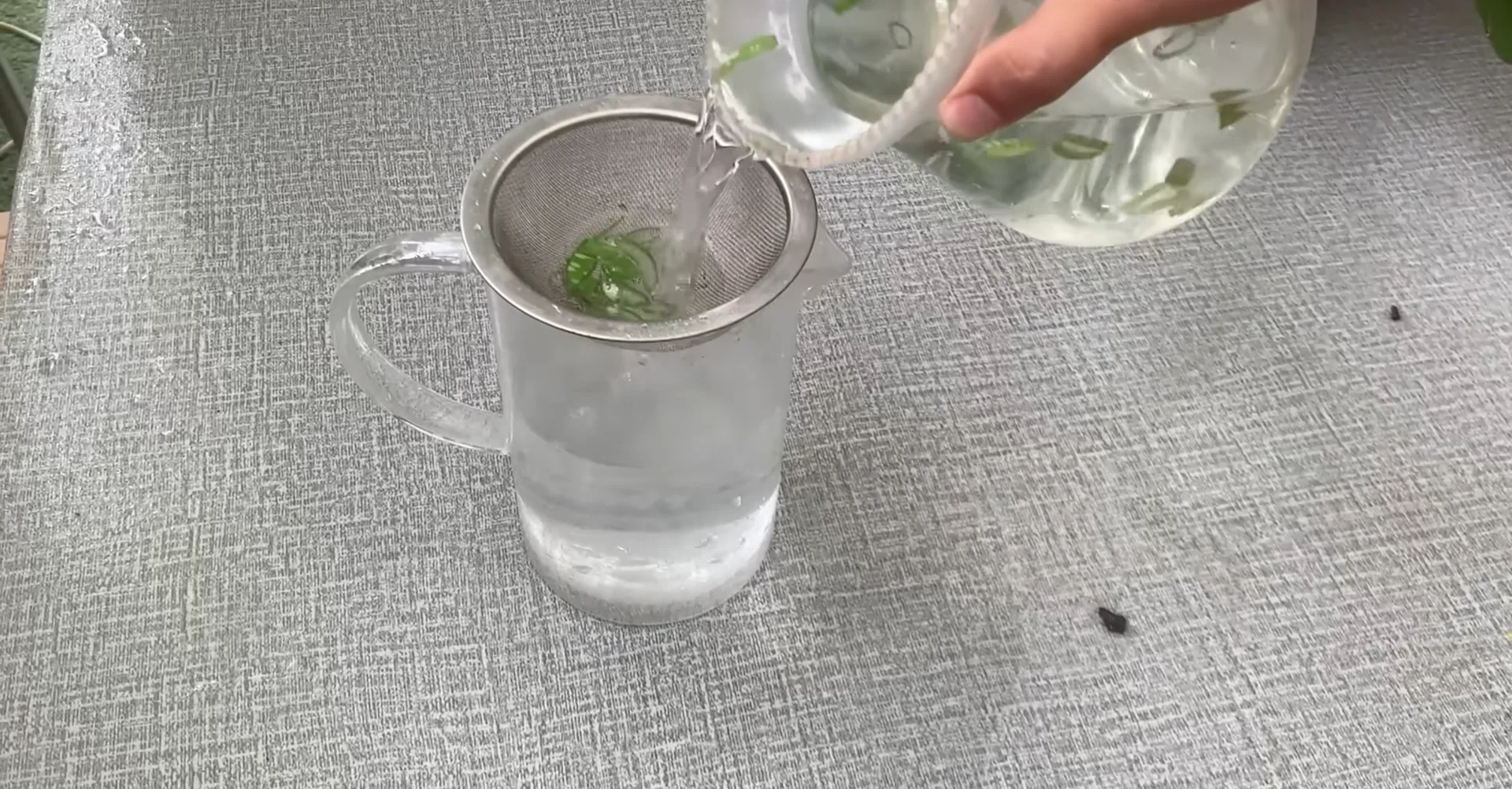 The Secret to Growing 100 Orchid Roots and Year-Round Blooms screenshot 7