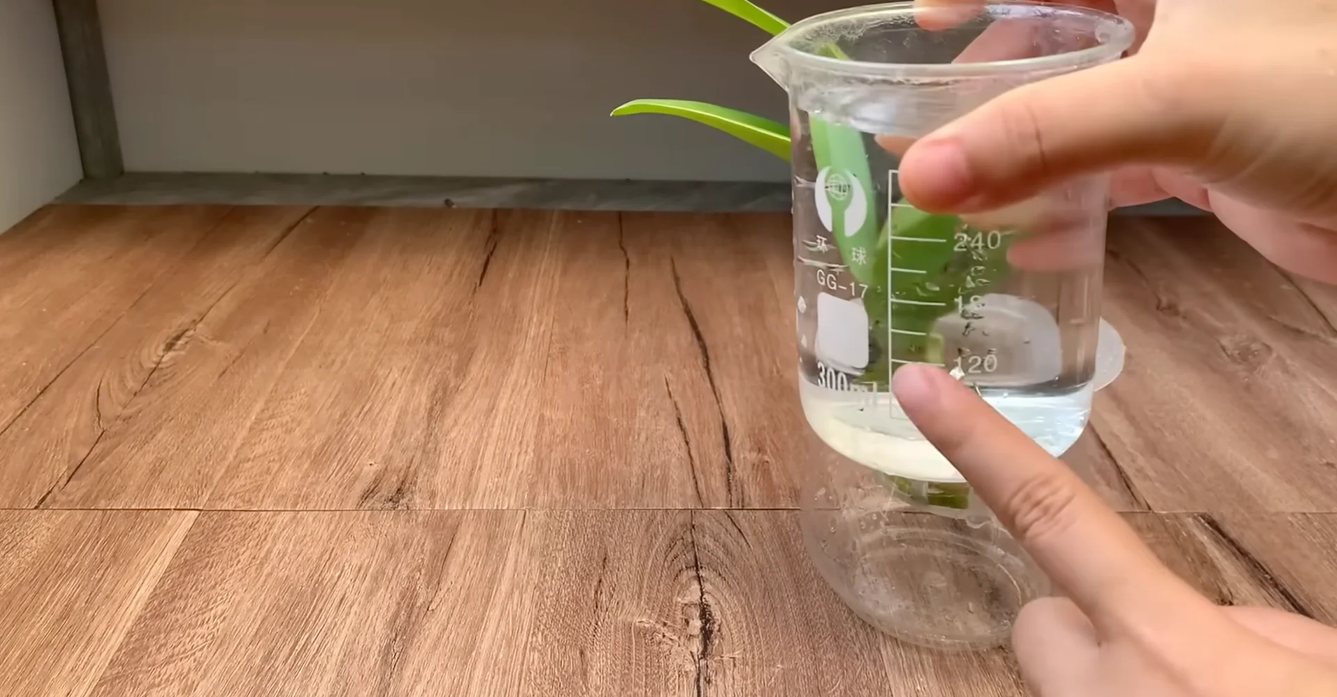 The Semi-Hydro Orchid Method That Boosts Root Growth Fast screenshot 5